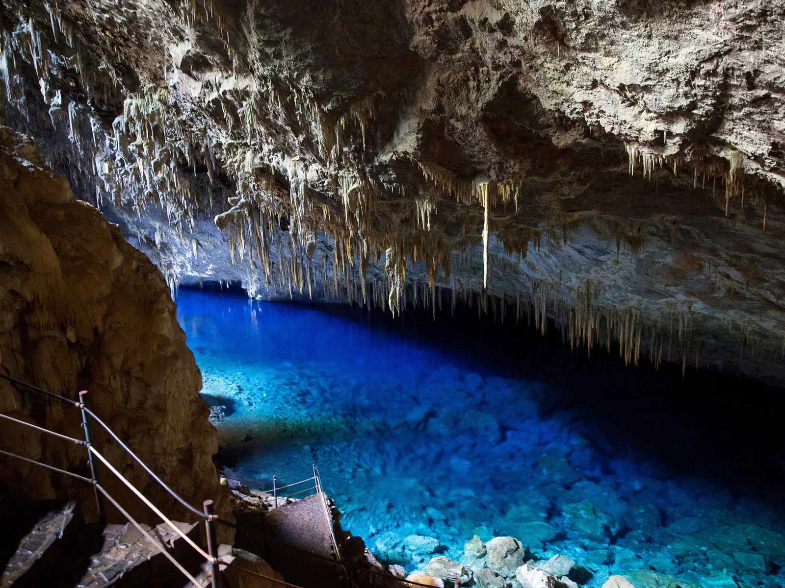The Gruta do Lago Azul from inside: a dense ceiling of pale stalactites over a brilliant blue underground lake, with the pale rock of the chamber lit from the entrance