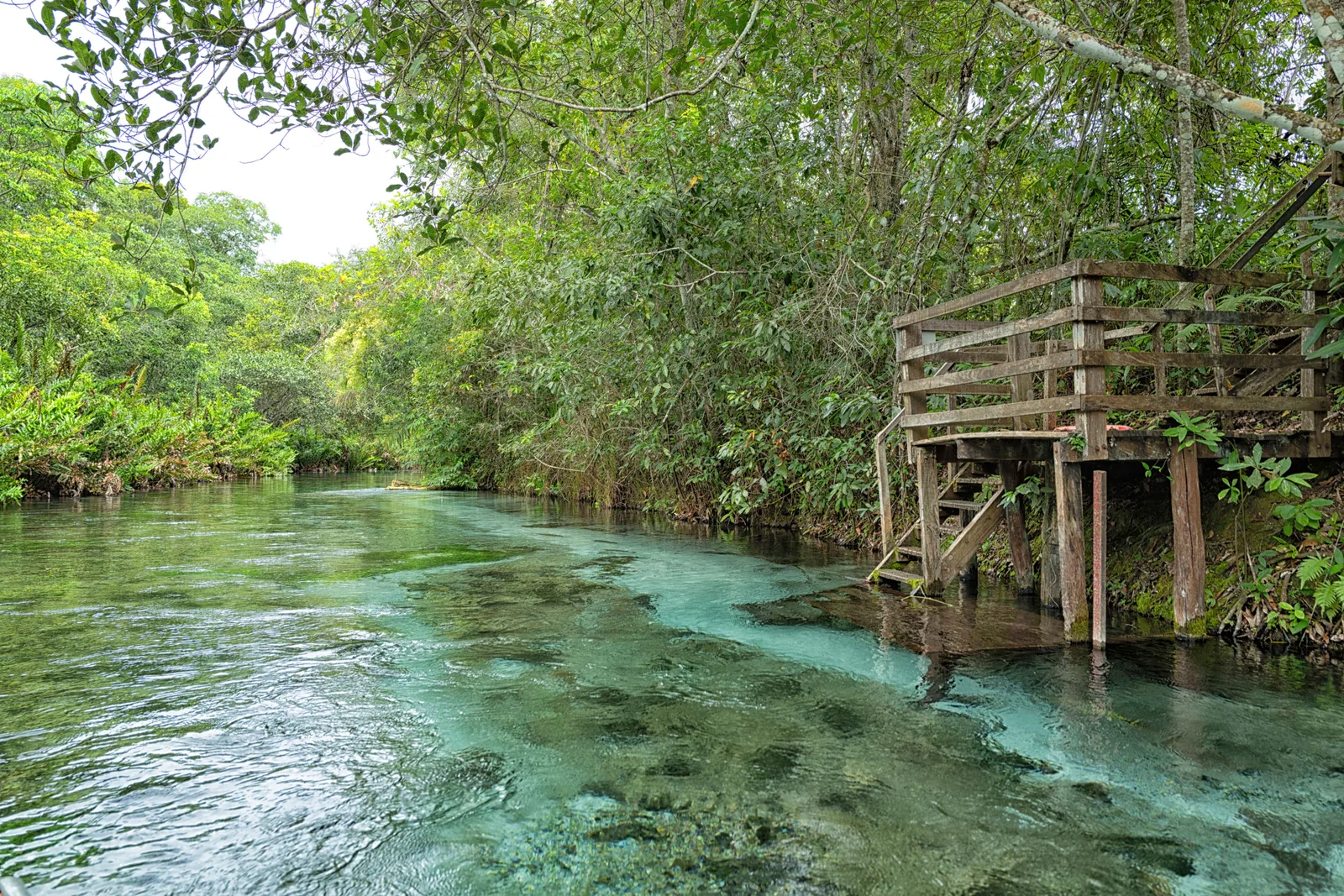 A wooden viewing deck on stilts above a shallow, glass-clear river near Bonito, the gravel bed and water plants visible right through the surface