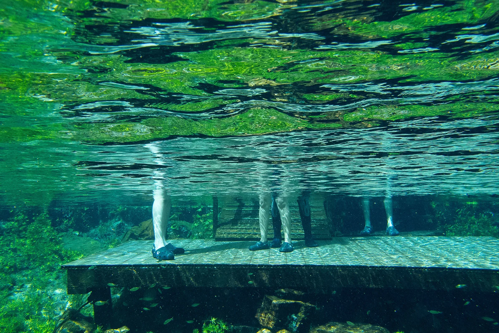 An underwater view up at a submerged wooden deck, the mirrored underside of the water surface above it and several pairs of legs standing on the boards