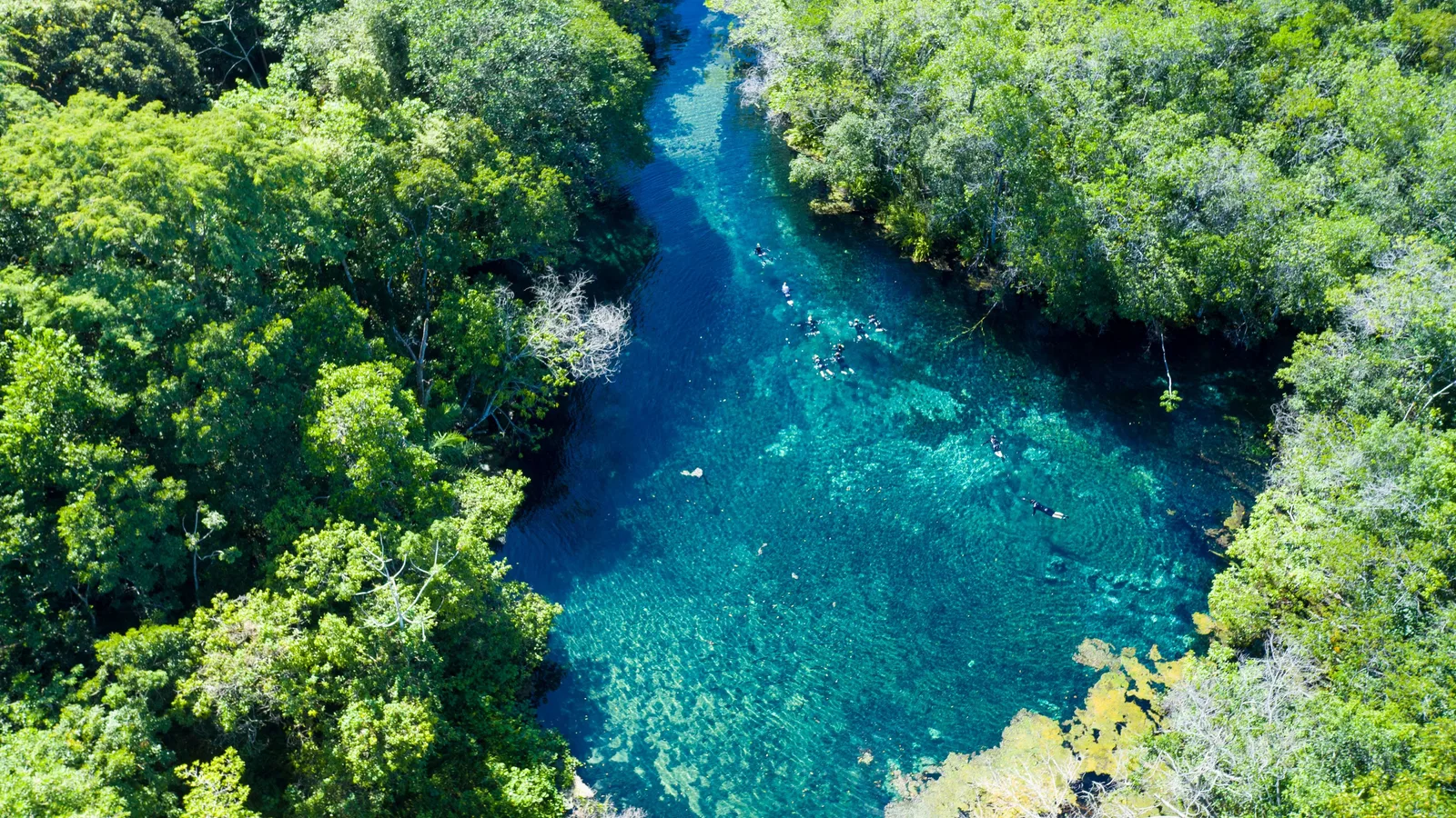 The Rio da Prata from directly above: a deep blue-and-turquoise river running between two walls of dense green forest, with a line of snorkelers drifting down the middle of it