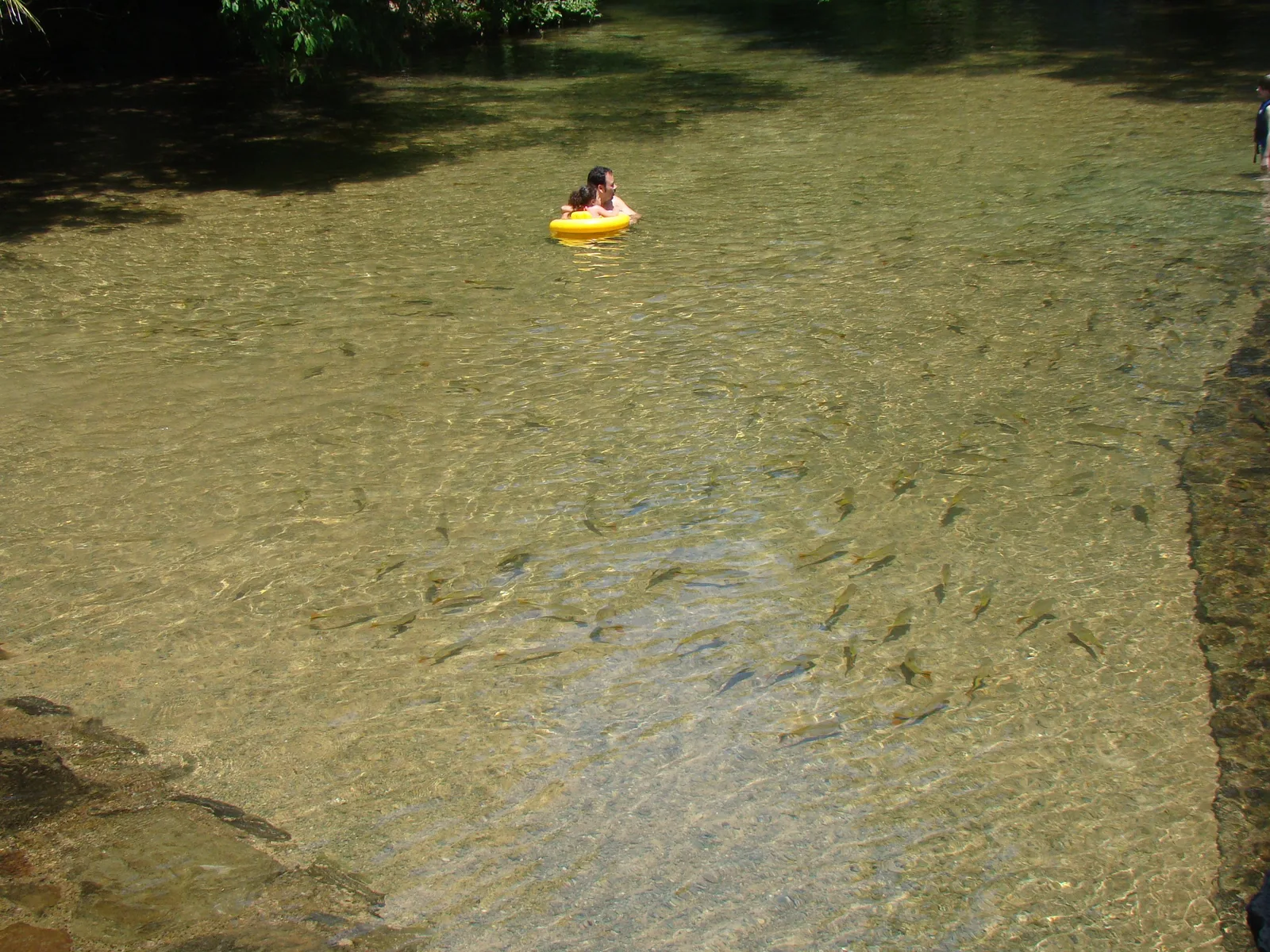 A person floating on a yellow ring down a wide, shallow, glass-clear river near Bonito, with another figure standing in the water further downstream