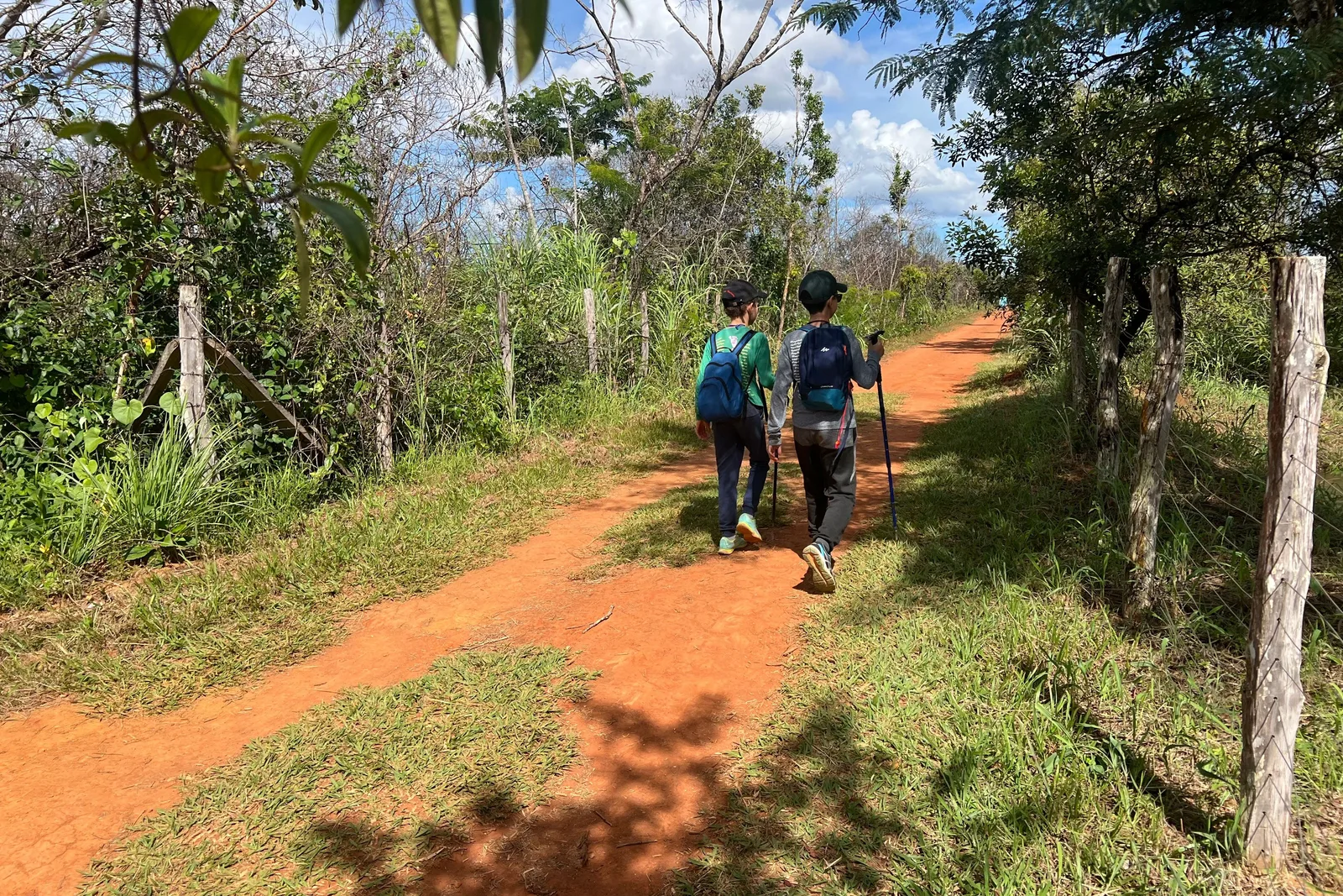 Two hikers with backpacks, one with a walking pole, on a red earth trail between fenced cerrado scrub in the Parque Nacional de Brasília, under a blue sky with white clouds