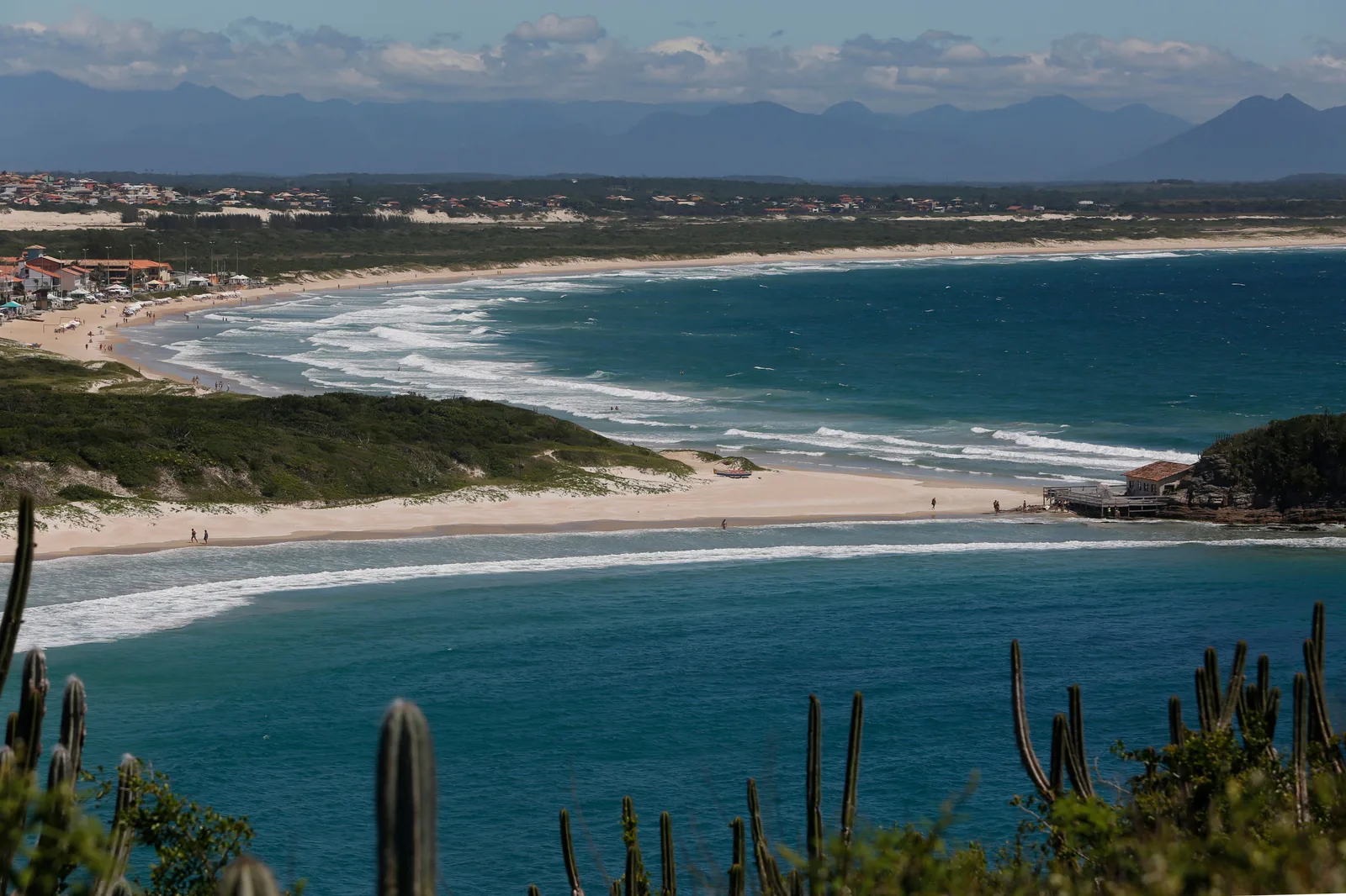 Two curving bays north of Cabo Frio seen from a clifftop through cacti: pale beaches along both, deep blue water, and a dark green headland dividing them