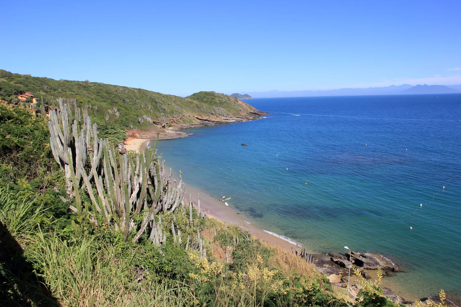 The shore at João Fernandes in Búzios seen from a slope above, framed by tall cacti in the foreground, with a narrow strip of beach below, deep blue water and a green headland running out on the far side
