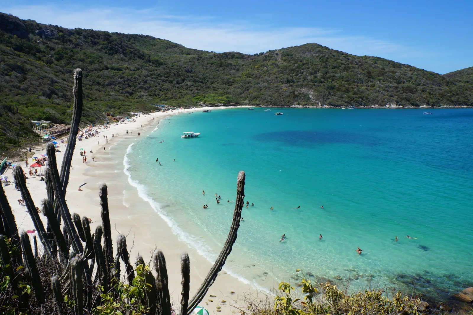Praia do Forno at Arraial do Cabo seen from the rocks above through tall cacti: a small crescent of sand with people swimming in flat turquoise water, closed in by green hills