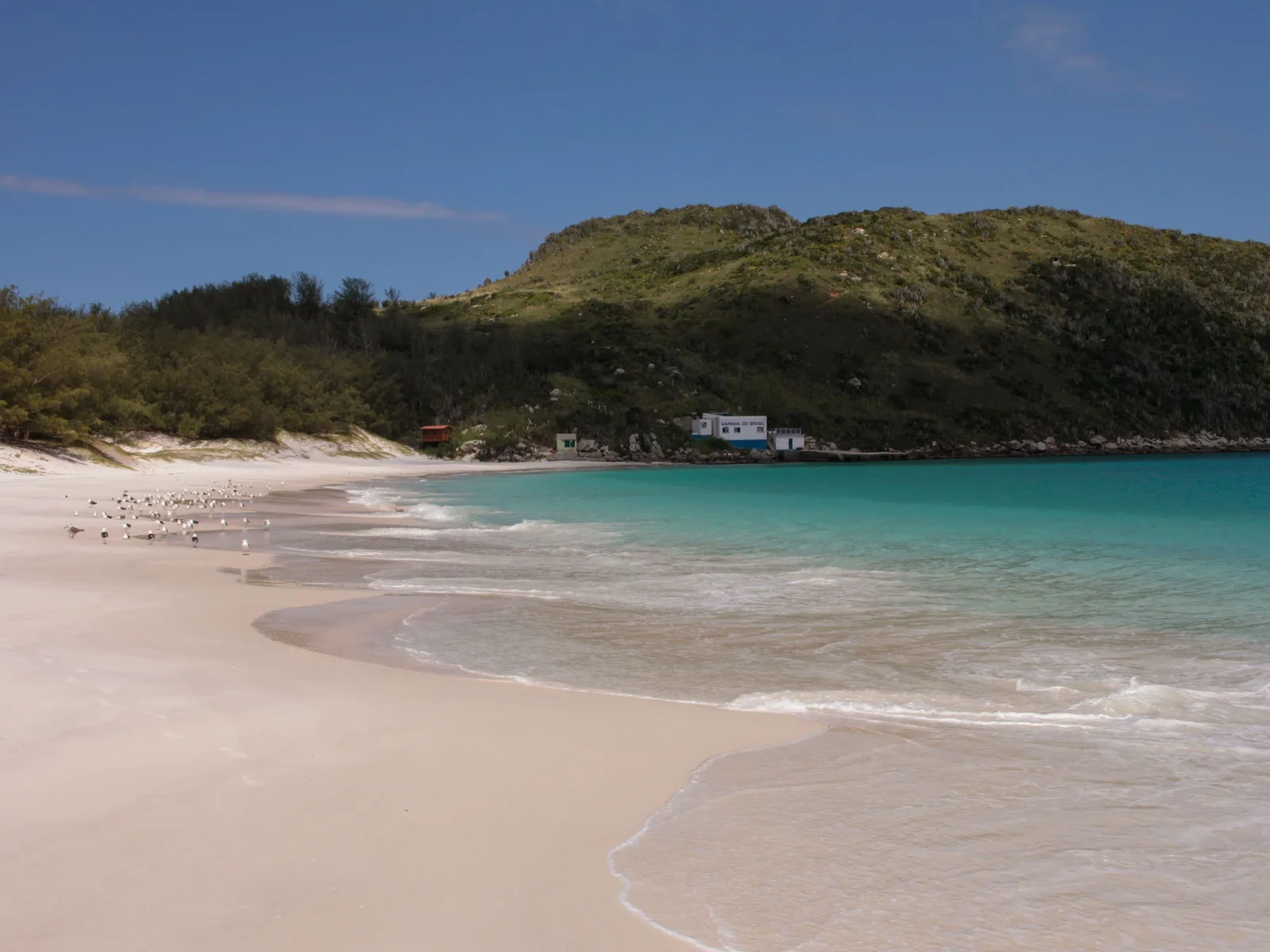 A wide empty beach of pale sand on Ilha do Cabo Frio at Arraial do Cabo curving away to the right, with a flock of gulls standing on the wet sand, clear green shallows along the waterline, and two small white buildings at the foot of a green scrub-covered hill