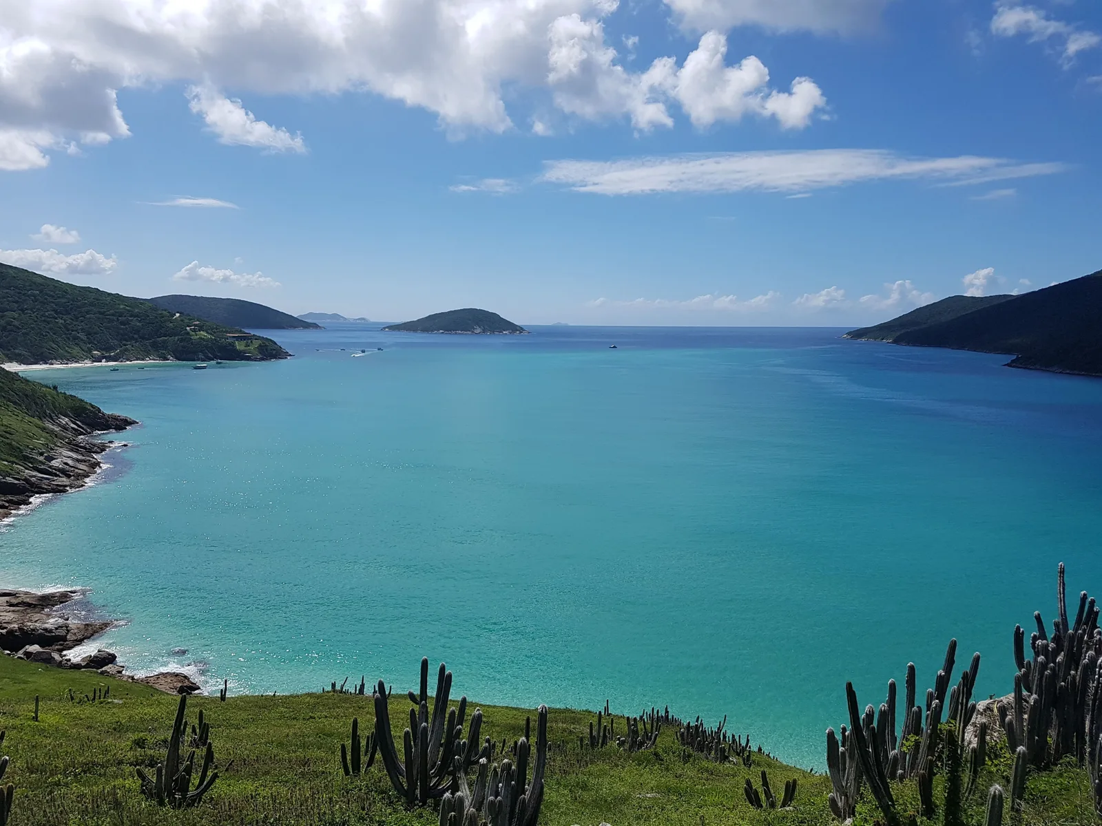 The view from the Pontal do Atalaia clifftop at Arraial do Cabo, framed by a row of tall columnar cacti along the grassy edge: a wide bay of pale turquoise water with rocky shore below it, and green headlands and small islands on the horizon