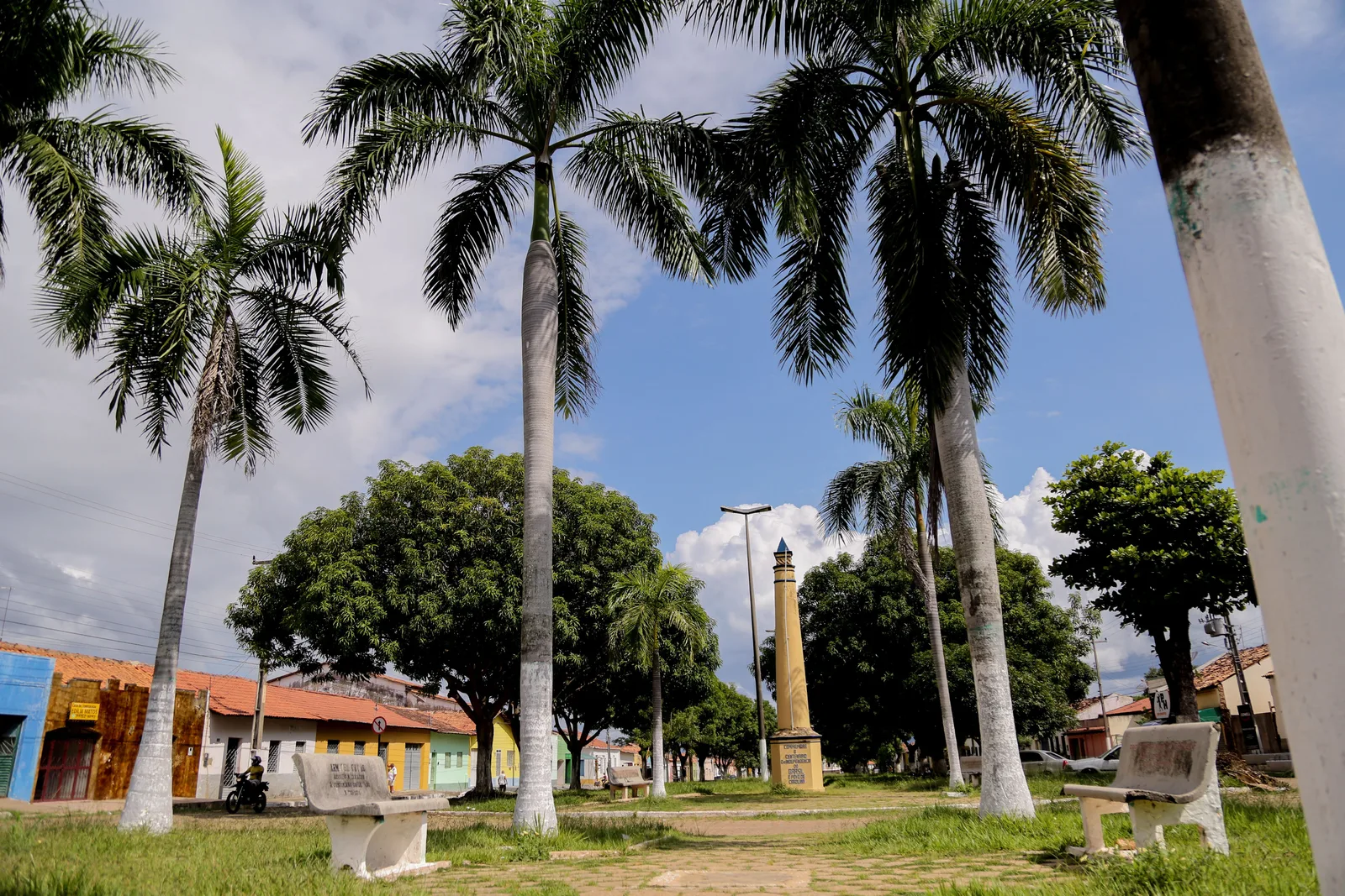 A town square in Carolina with tall royal palms, stone benches and a slender white obelisk, low colorful houses along the far side