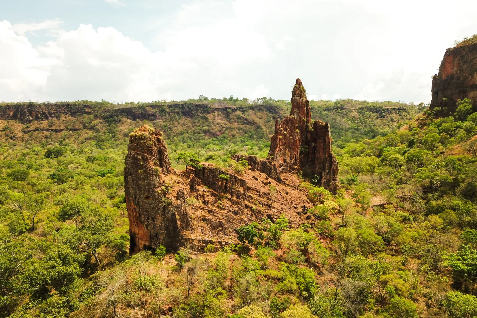 Two tall weathered sandstone pillars standing out of green cerrado in front of a long flat escarpment