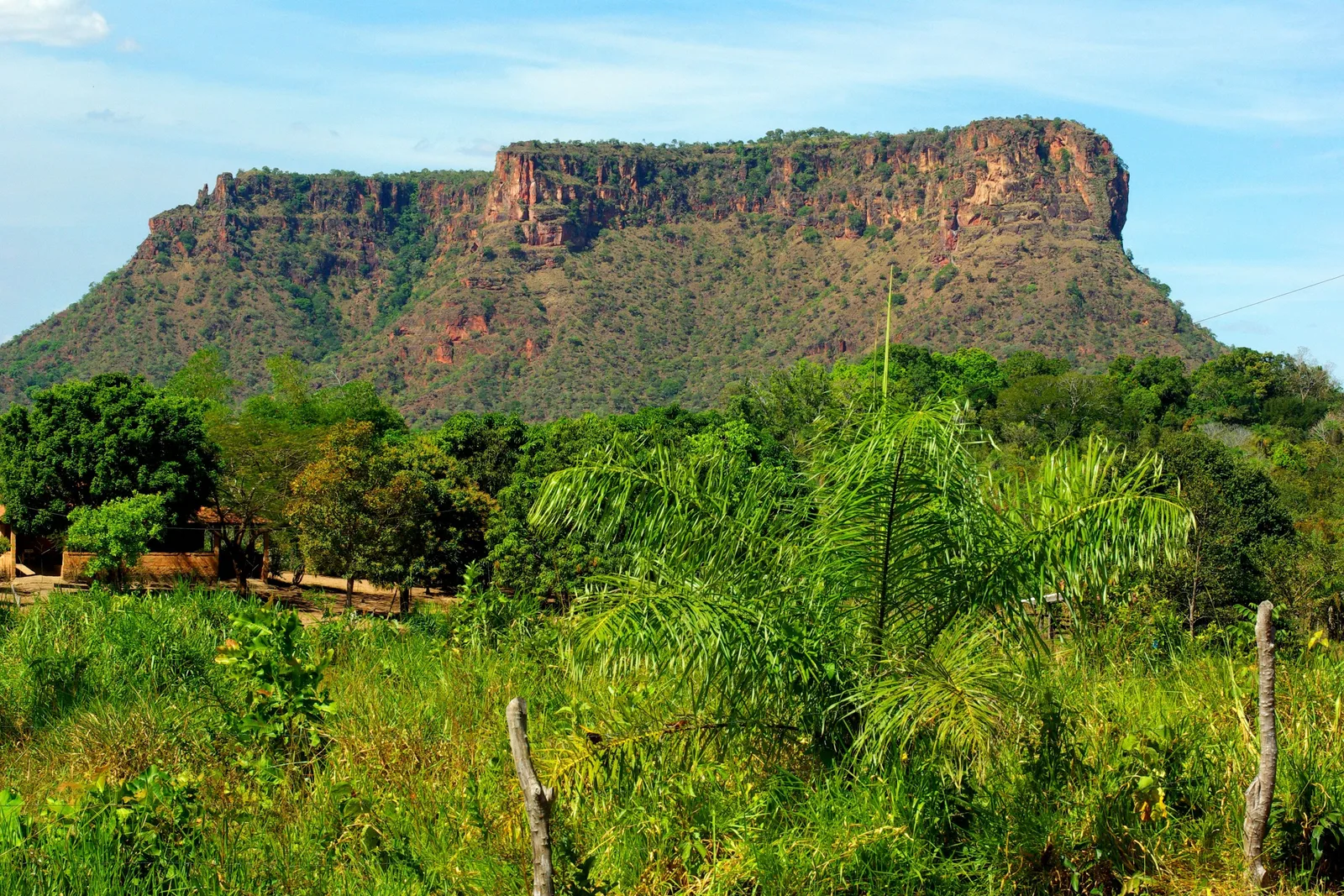 A flat-topped mountain with red cliff faces above green scrub and a wire fence