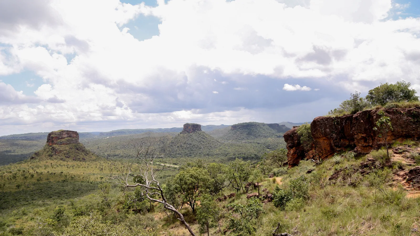 A wide view from a rocky ridge over green cerrado, with a flat-topped butte, a pointed hill and a long line of mesas standing under big white clouds