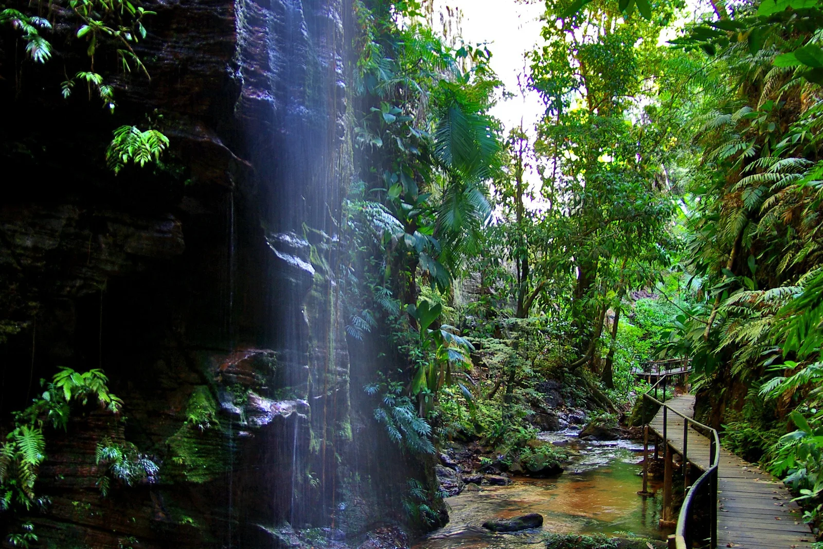 A thin waterfall falling down a tall dark rock face beside a wooden walkway in a green canyon
