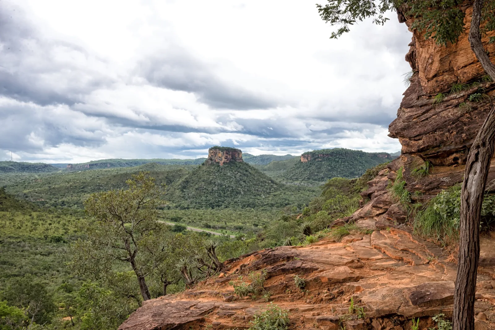 A green valley with a flat-topped butte in the middle and long ridges beyond, seen past an orange rock outcrop and a leaning tree