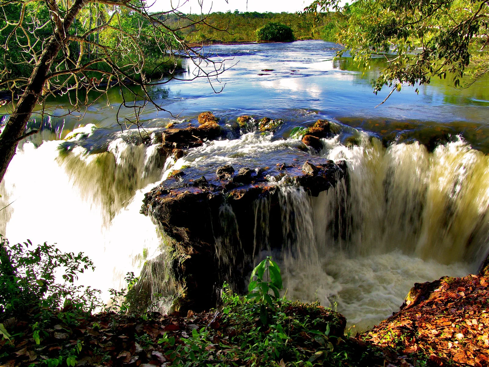 A wide river pouring over a broad rock ledge on both sides of a dark rock island into a foaming pool, with calm water and trees upstream