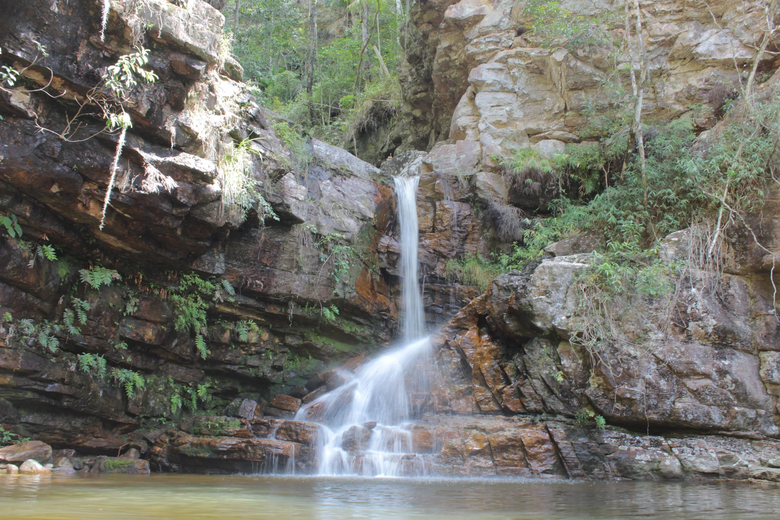 A waterfall falling down a mossy rock face into a pool, framed by dense green forest