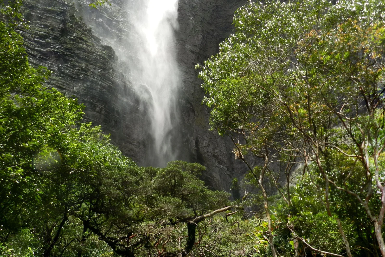 Cachoeira da Fumaça seen from the canyon below, a tall white fall down a dark gray cliff face framed by green