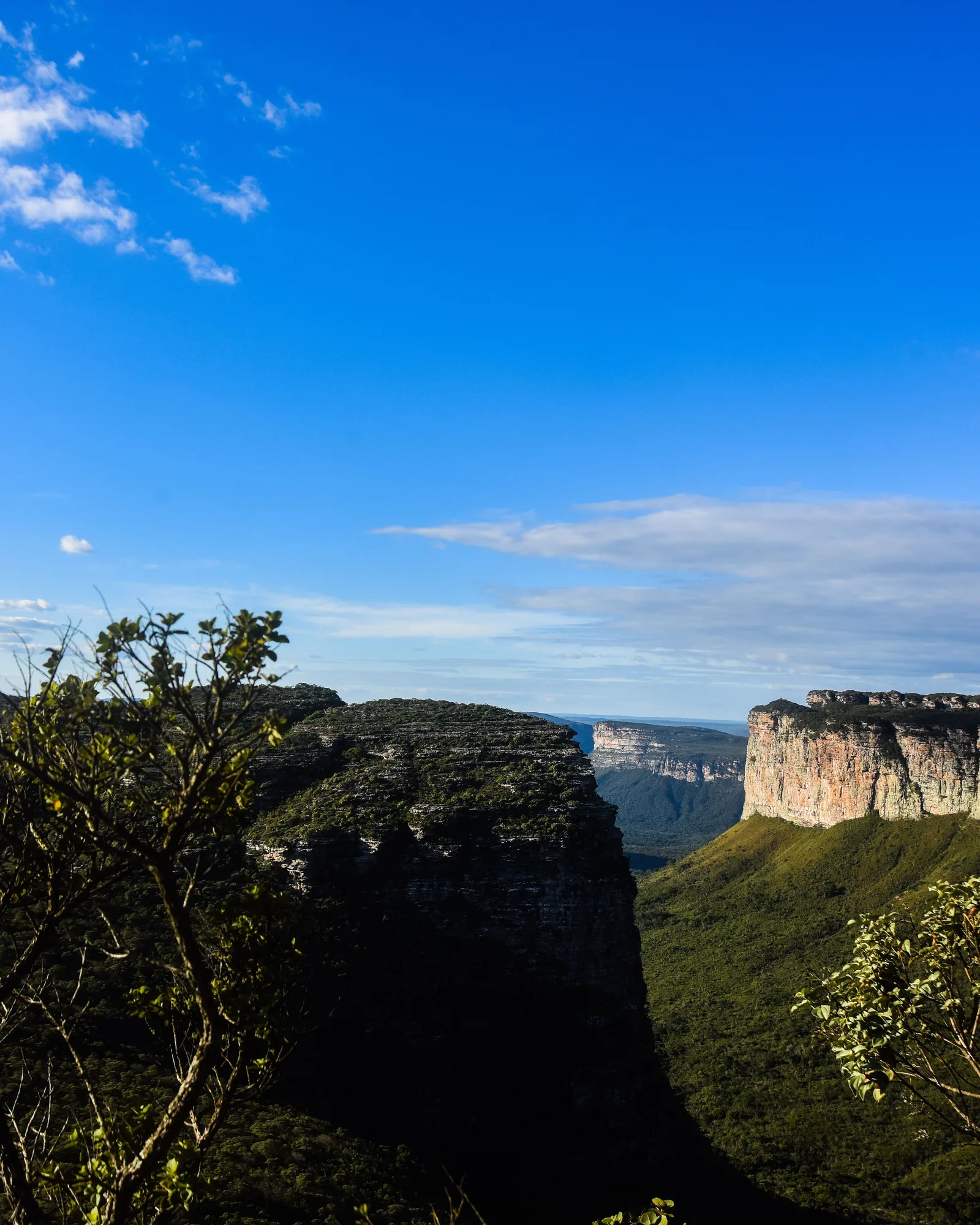 A green canyon falling away below a clifftop in the Chapada Diamantina, with layered flat-topped mountains standing along the far side