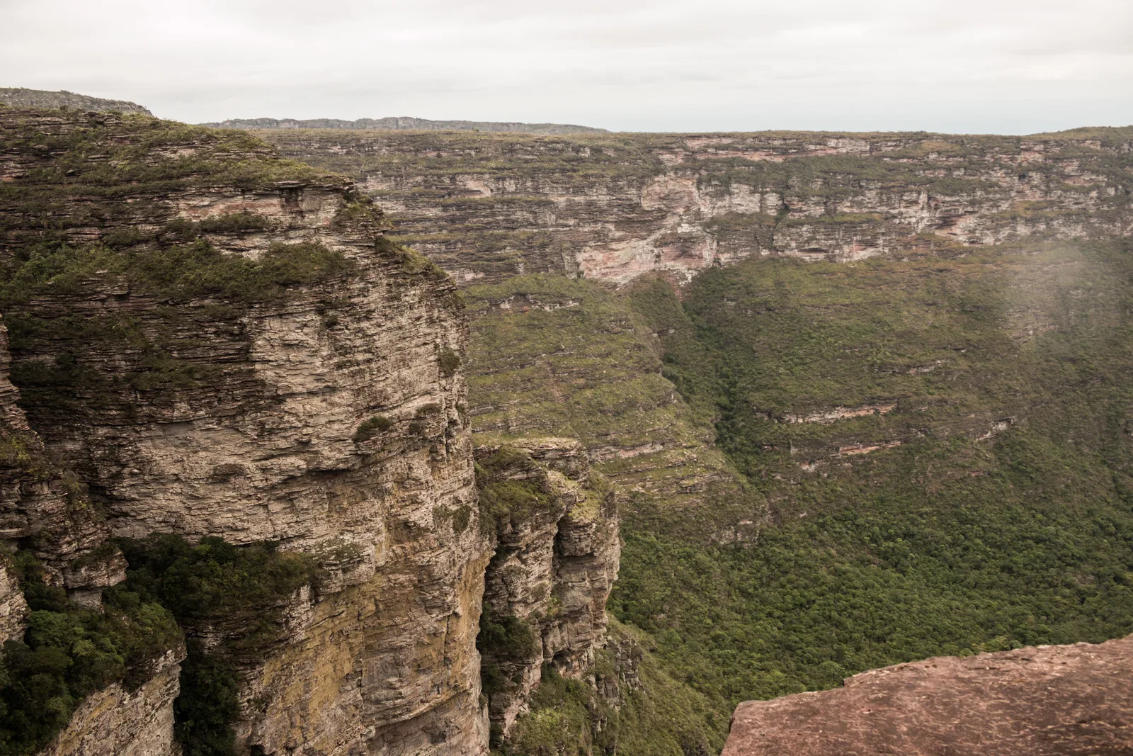 Layered sandstone cliffs curving away into a deep green canyon, seen from the rim