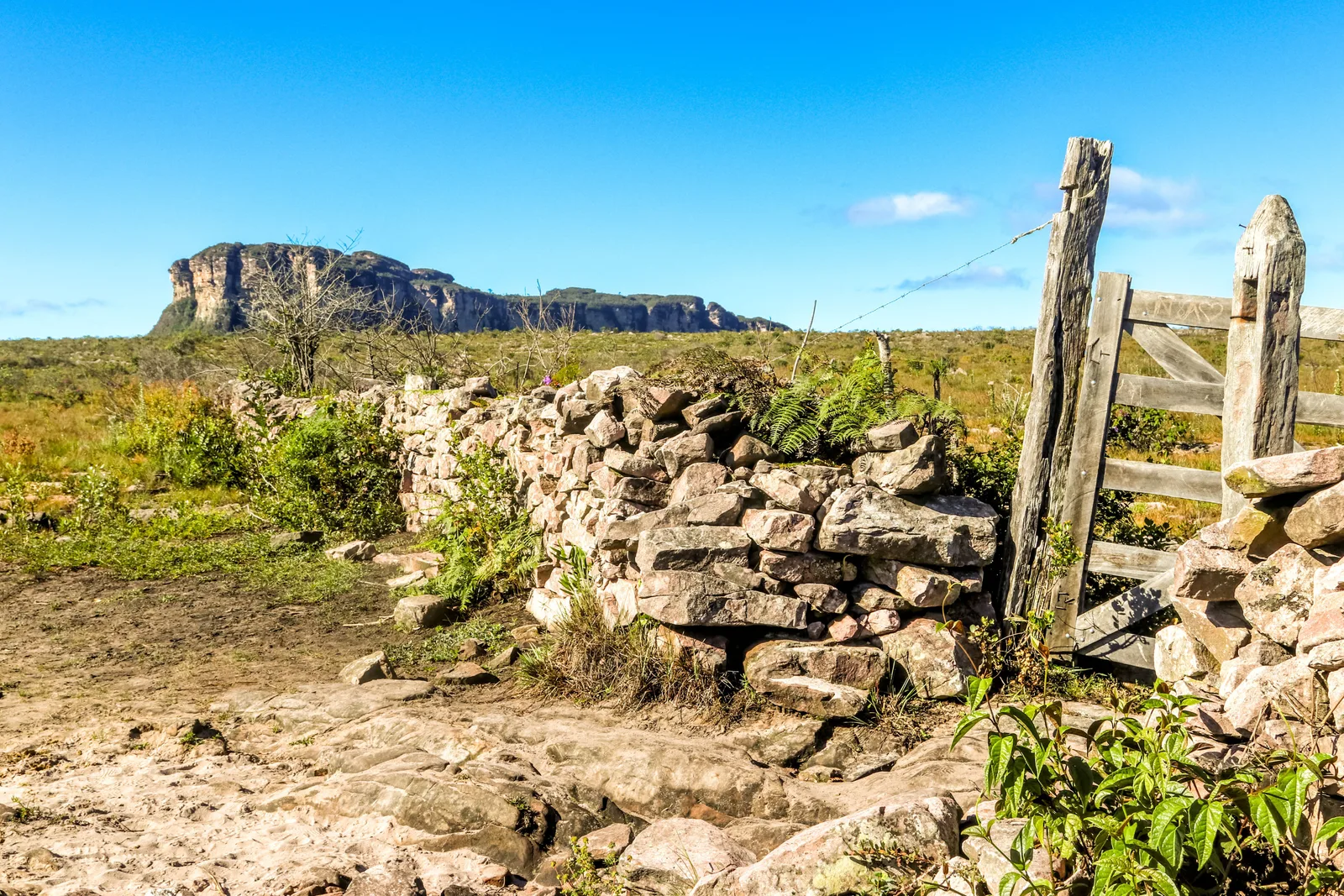 A low dry-stone wall and weathered timber gateposts on open upland grass, with a long flat-topped mountain on the horizon behind