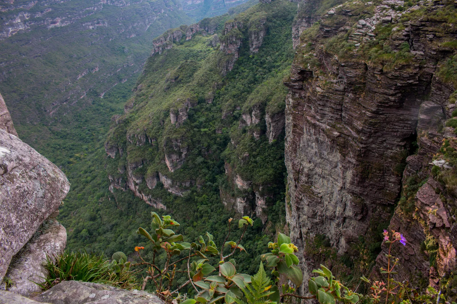 A vertical rock buttress dropping into a canyon filled with dense green forest