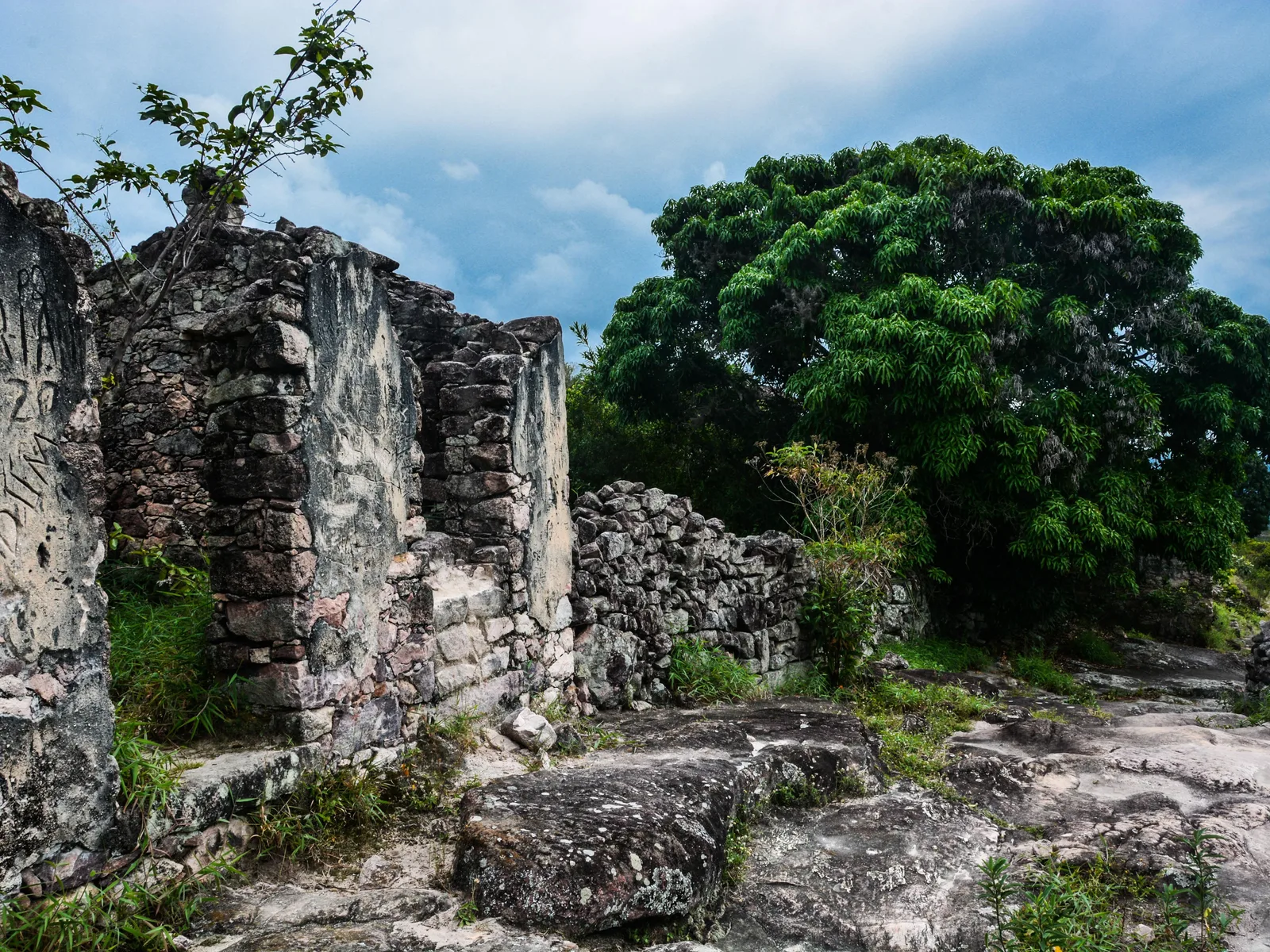 A roofless building of dry-laid stone at Igatu with a tree growing up beside it under broken cloud