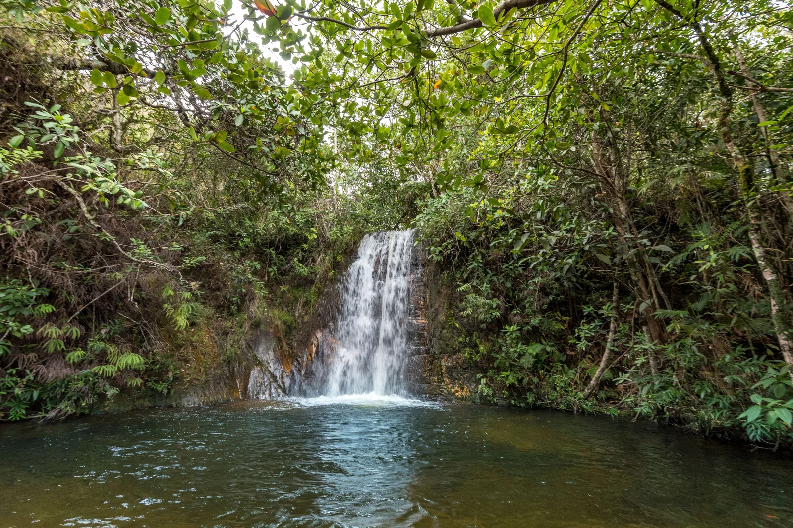 A small waterfall pouring off a rock lip into a dark round pool, surrounded by dense green forest