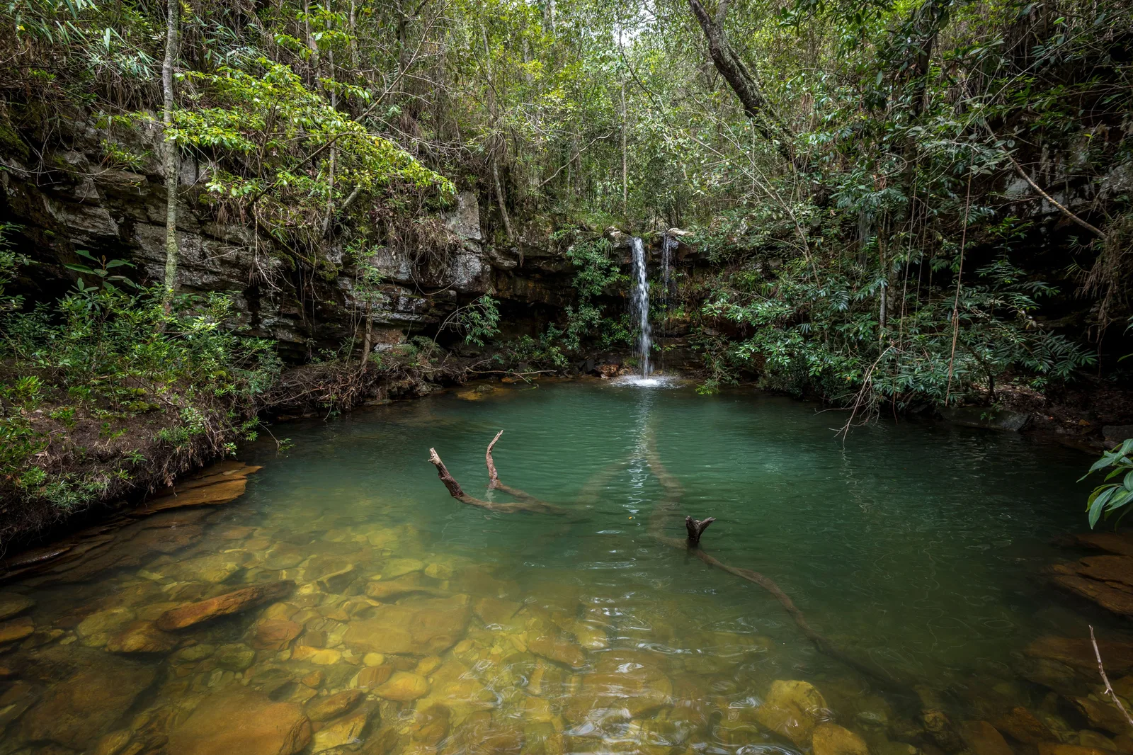 A thin waterfall falling into a still green pool in a shaded forest gorge, with branches lying in the clear water