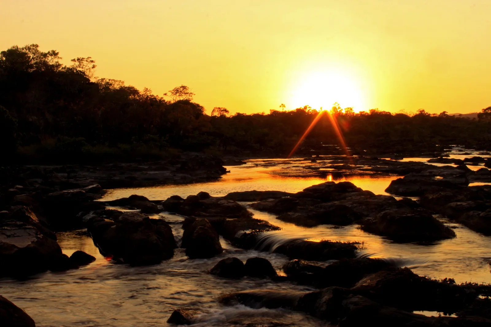 The sun rising over a dark tree line, its light reflected in pools of water among black rocks in a riverbed