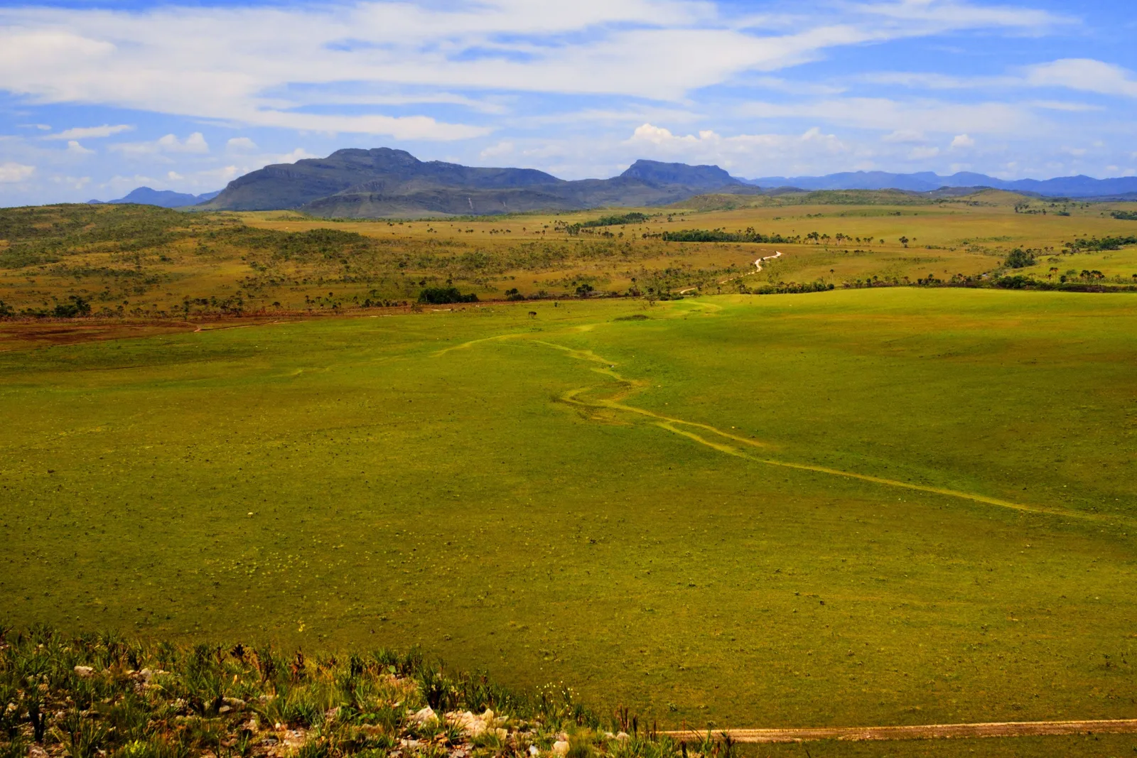 A wide green grassland with a faint track across it and a long, flat-topped mountain on the horizon