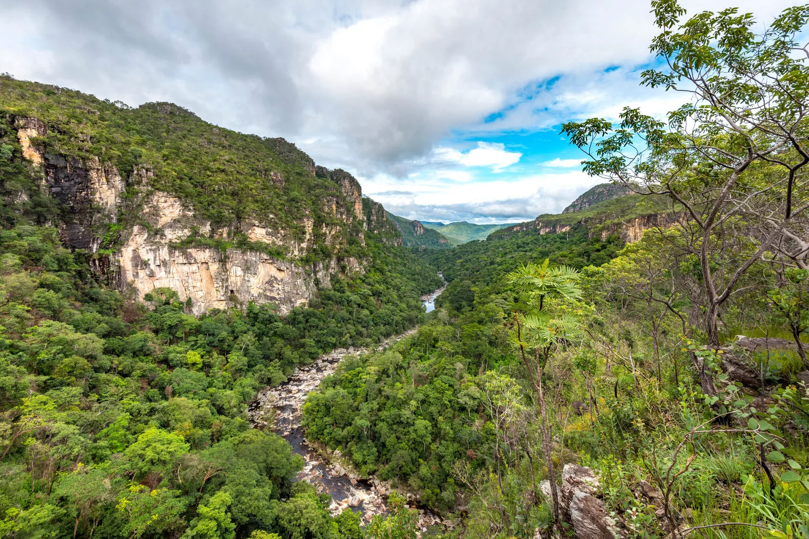 A deep green canyon with pale cliffs on the left and a river running along its floor toward distant hills