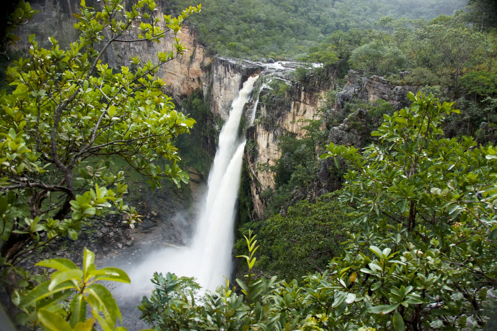 A tall waterfall plunging off a pale cliff into a misty, forested canyon, seen through leaves from the viewpoint above
