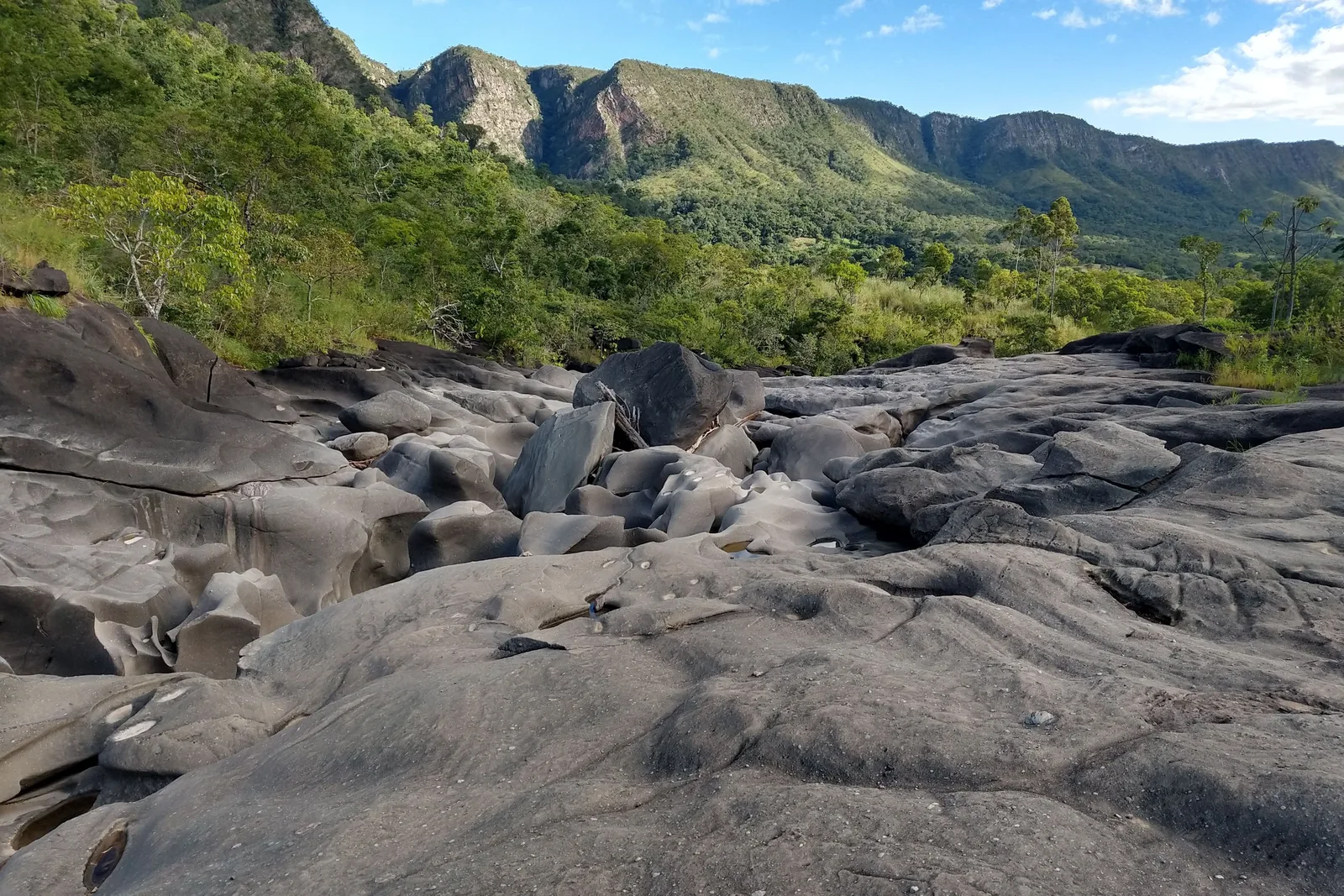 Gray water-carved rock in a riverbed with green trees and a long escarpment behind under a blue sky