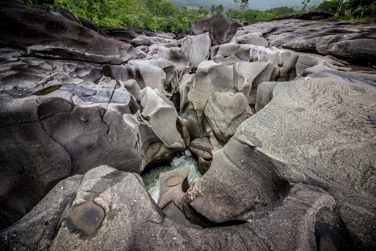 Smooth gray rock worn into rounded lumps and hollows, with green water running through a narrow channel and forest behind