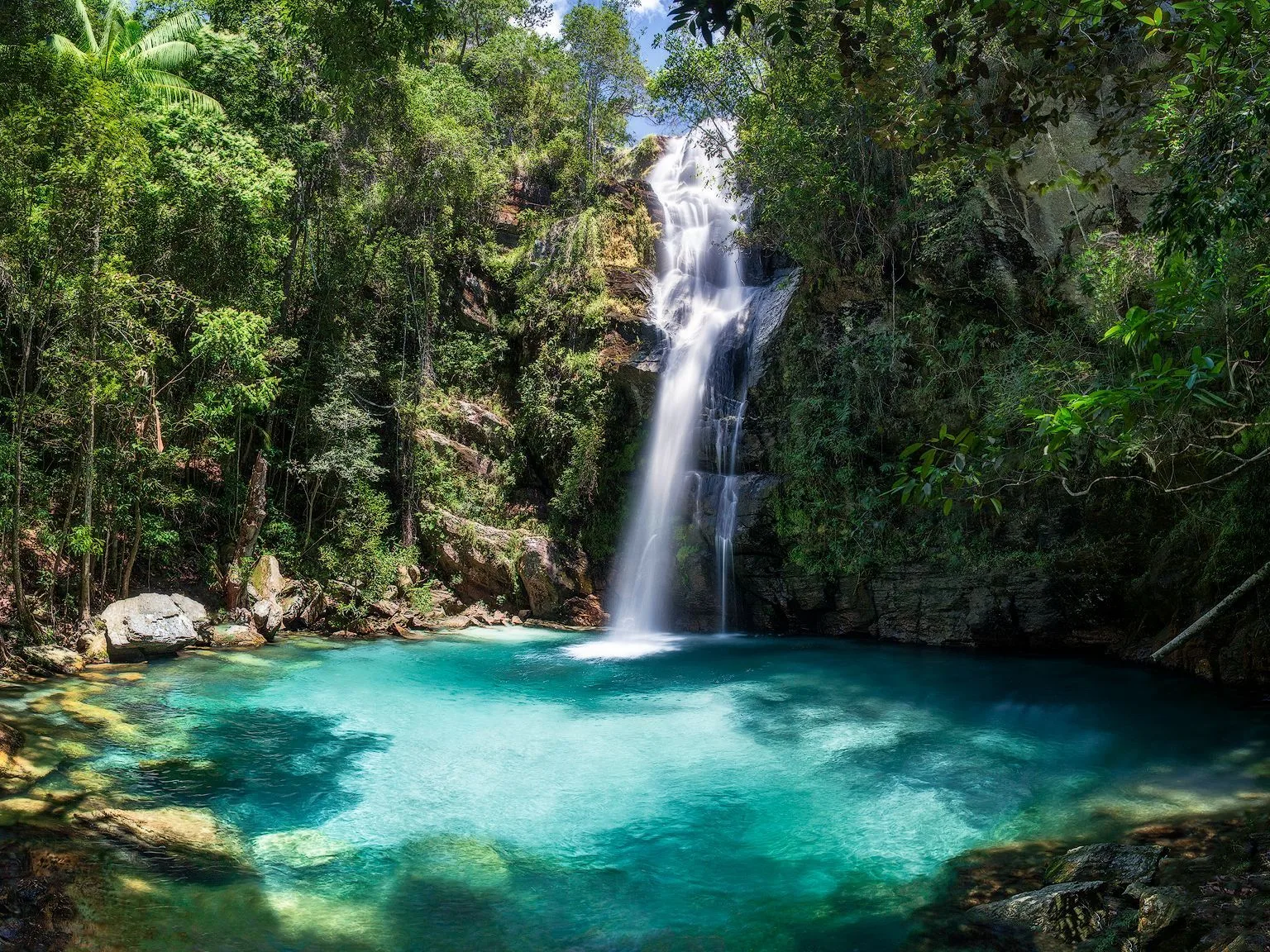 A slender waterfall falling down a dark wooded rock face into a round pool of bright turquoise water, with tree trunks framing the left side