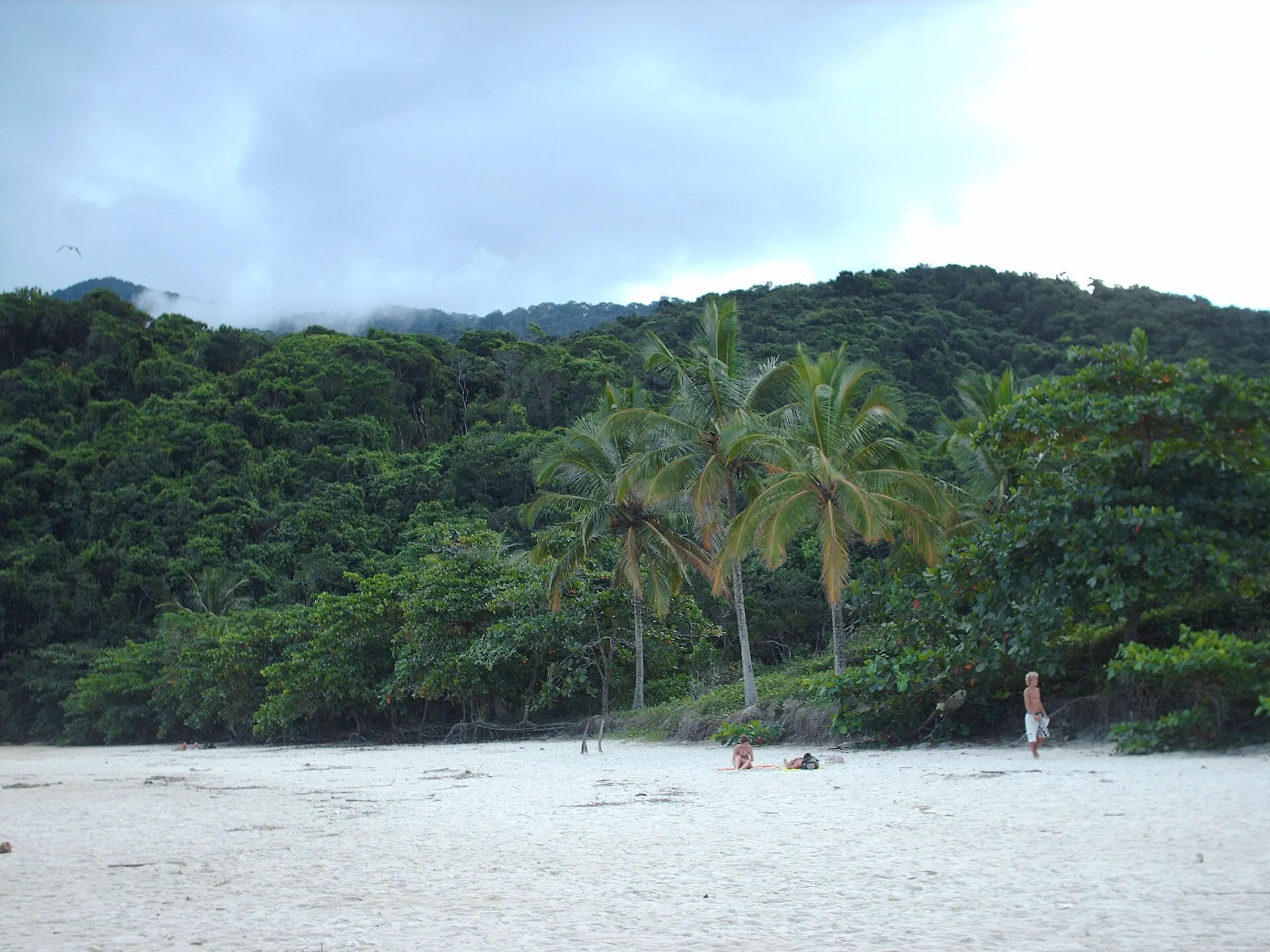 View through the rainforest over the bay of Vila do Abraão on Ilha Grande, with boats at anchor and mountains behind
