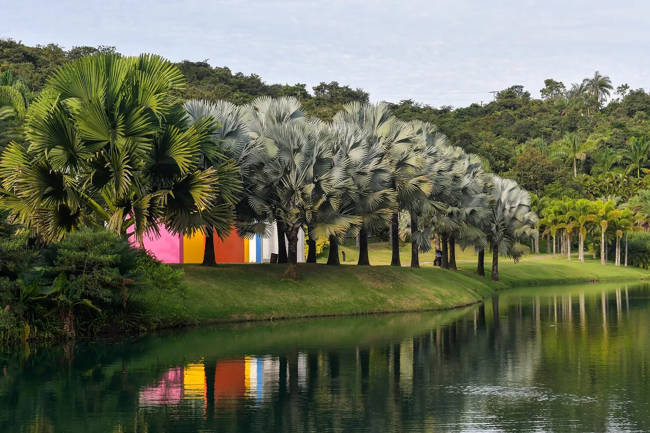 The open-air galleries and gardens of Inhotim in Minas Gerais