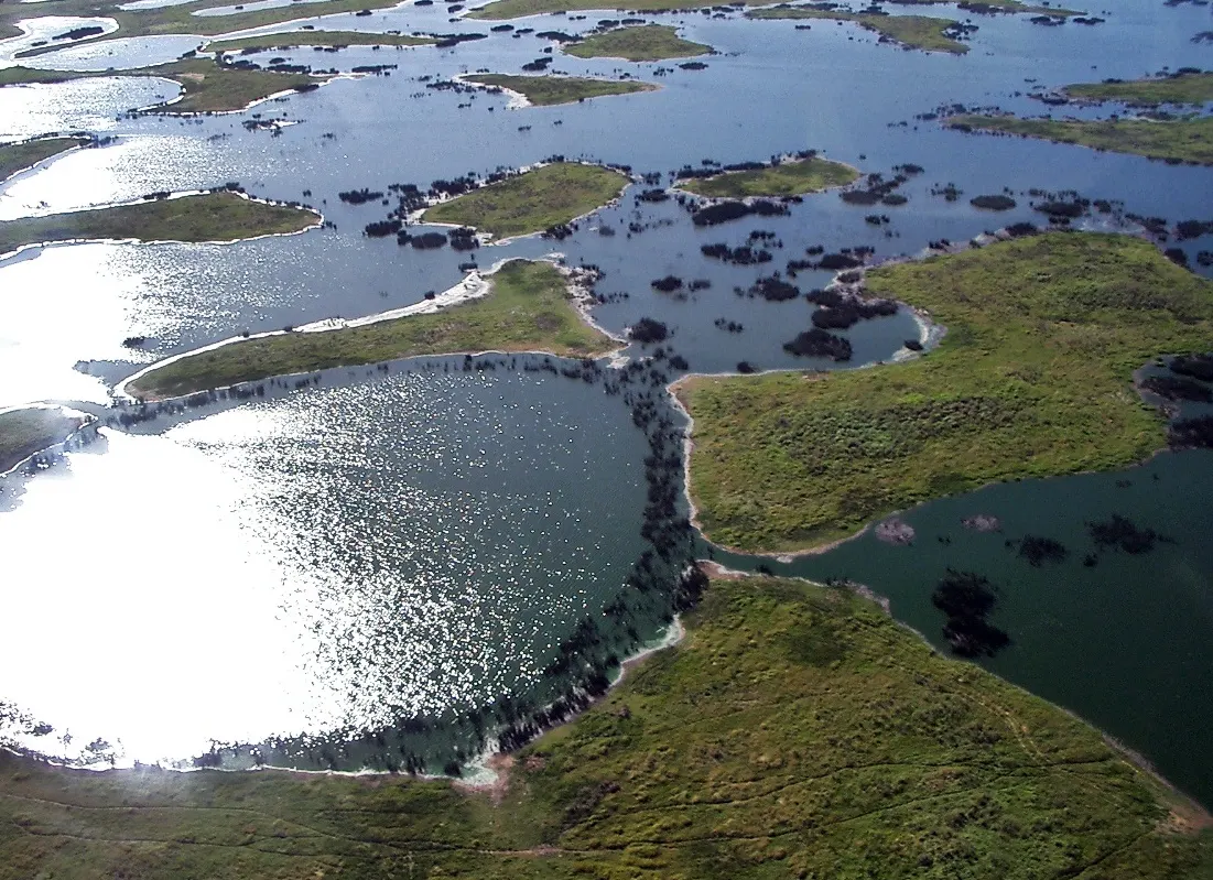 The flooded grasslands of the Pantanal at first light
