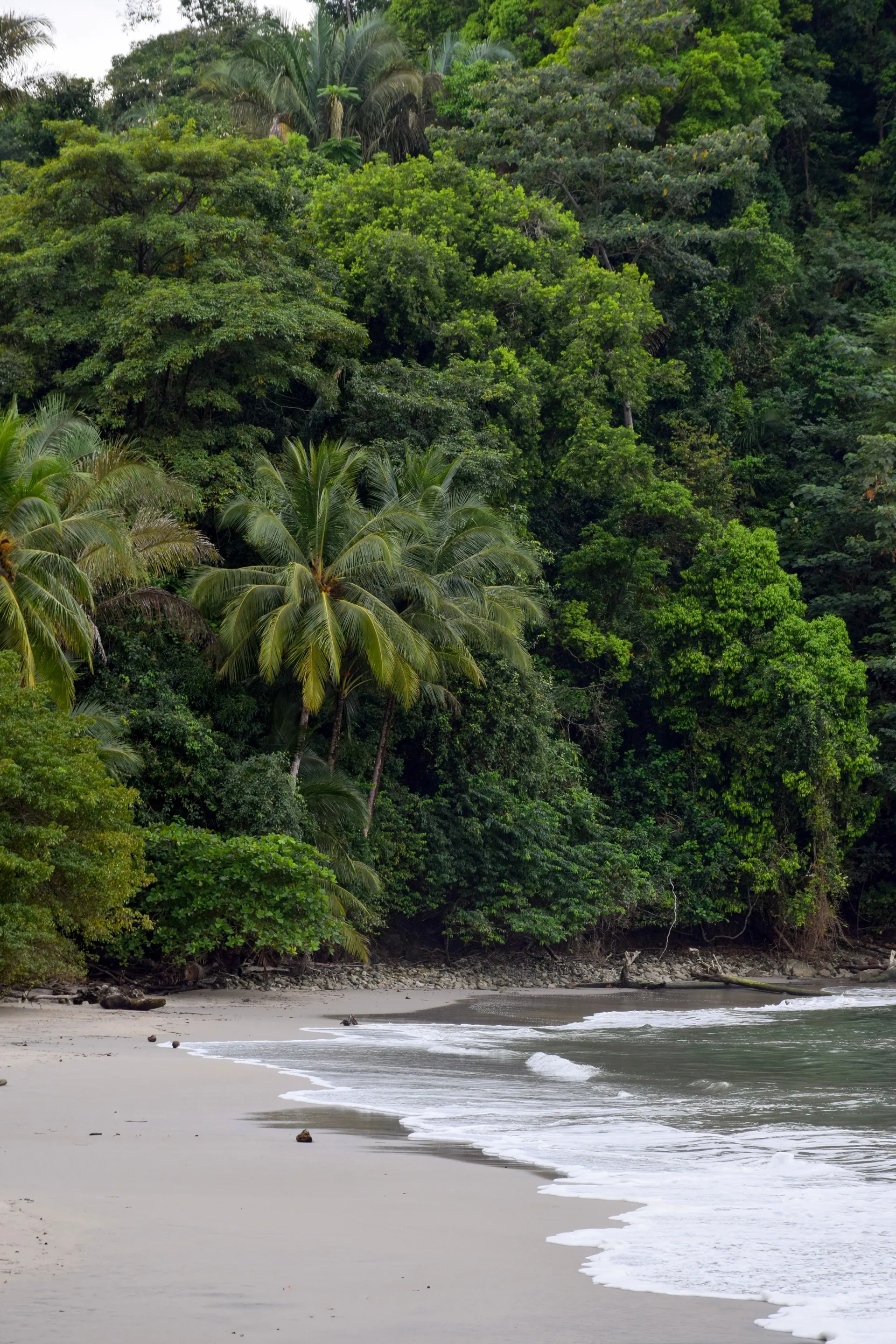The Costa Verde coastline southwest of Rio de Janeiro