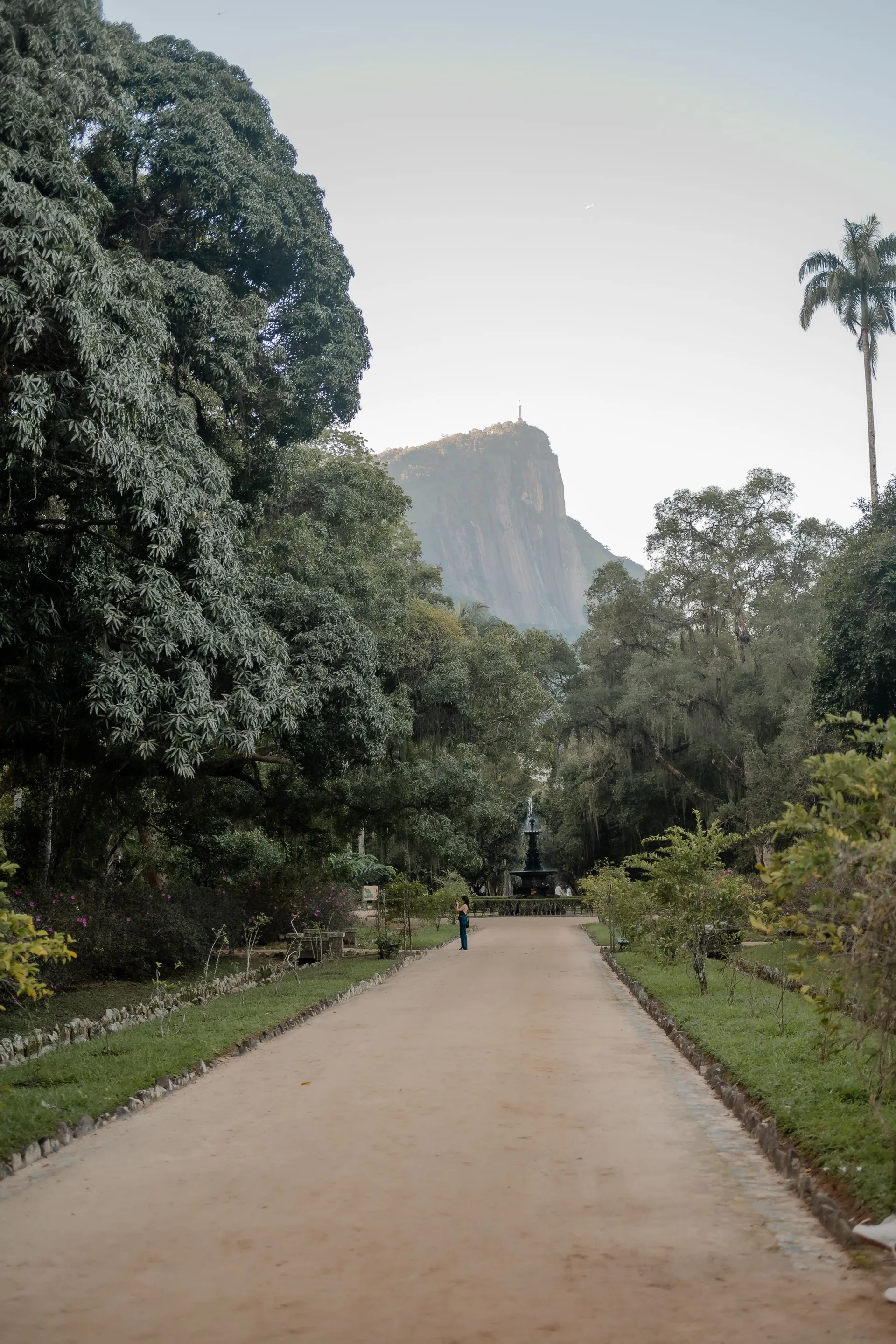 The Tijuca rainforest inside the city limits of Rio de Janeiro