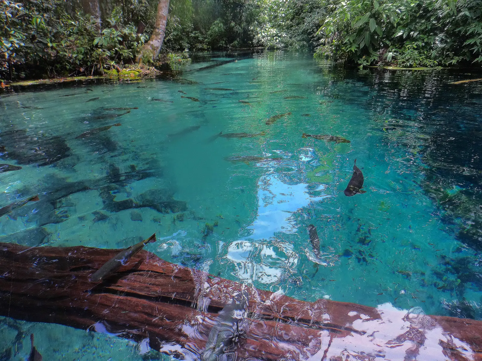 The clear water of the Aquário Encantado at Nobres