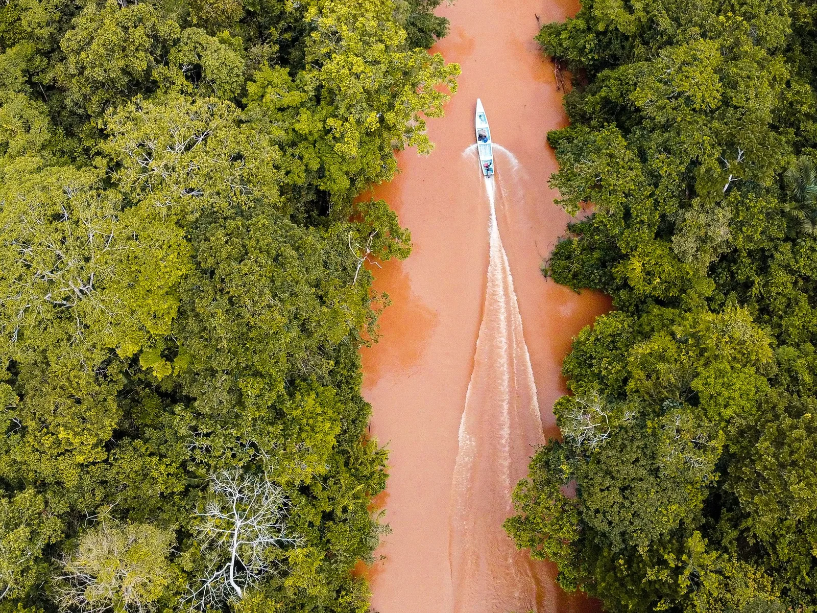 A bend in the Rio Cuiabá in the northern Pantanal