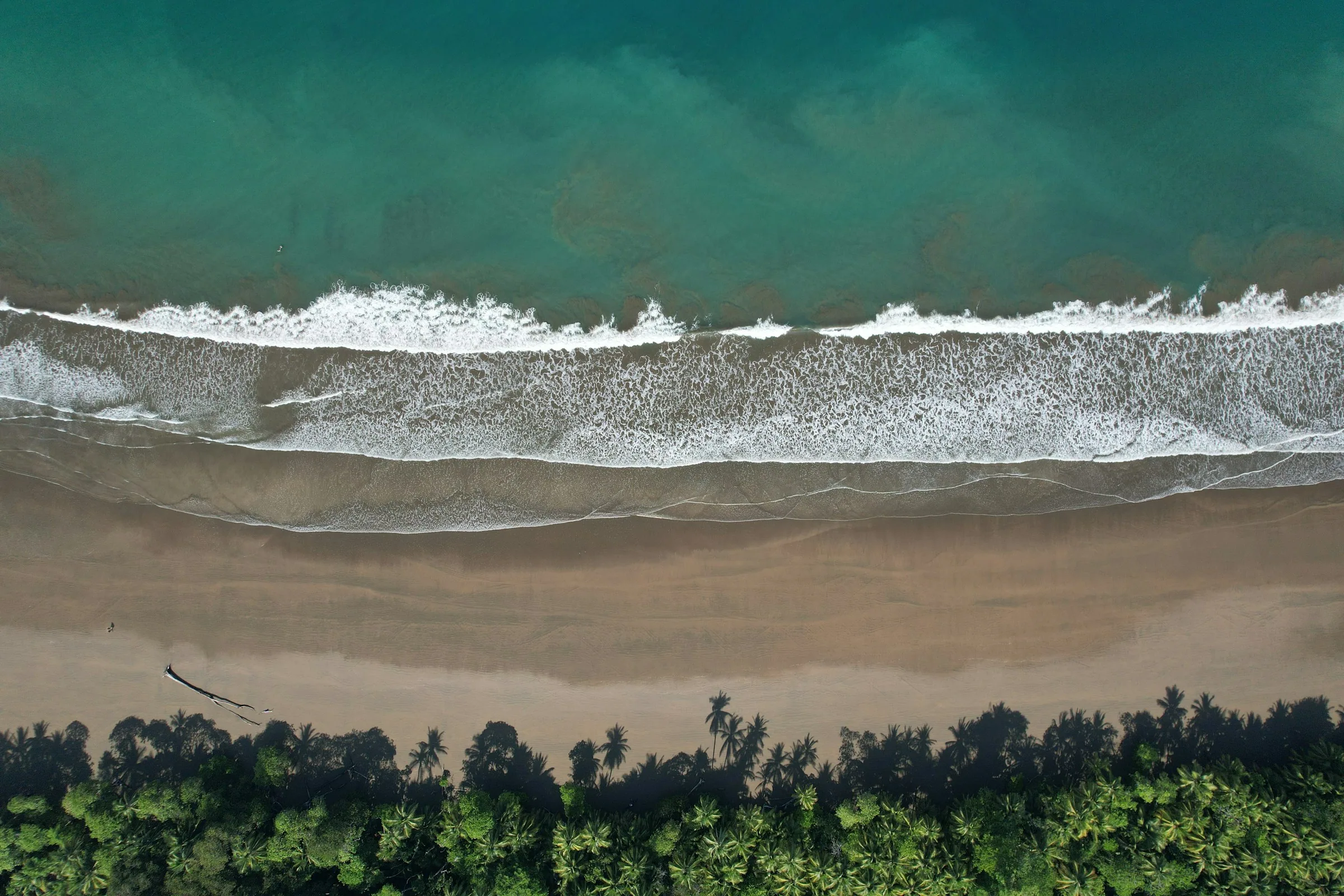 The Praia de Pratigi coastline in southern Bahia