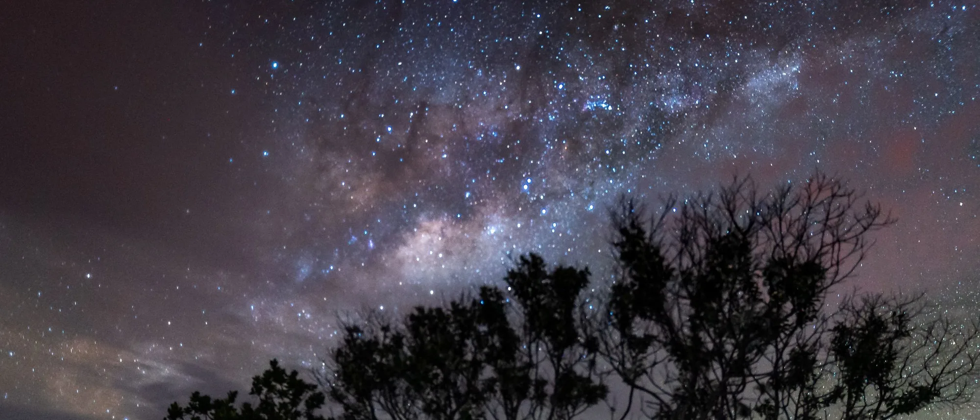 The night sky over the open Pantanal