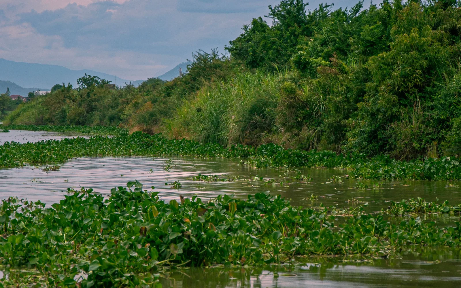 Sunset reflected in a Pantanal river