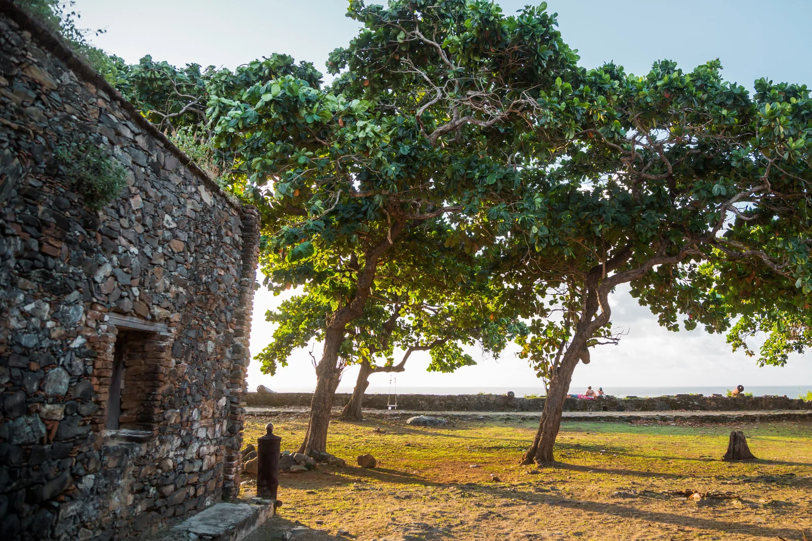A weathered stone wall of the Forte dos Remédios with a low doorway in it, standing among broad shade trees on rough grass with the sea beyond