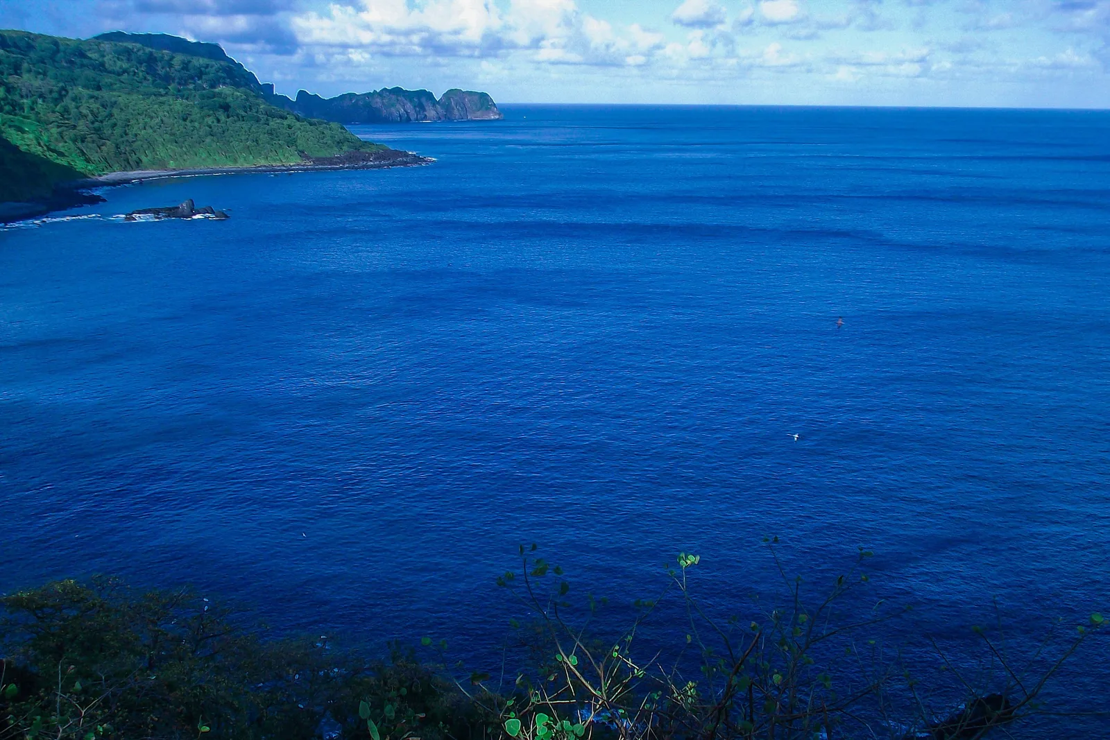 Deep blue open ocean seen from high on the cliffs near the dolphin viewpoint, with a wooded headland running out to the left and low islands on the horizon