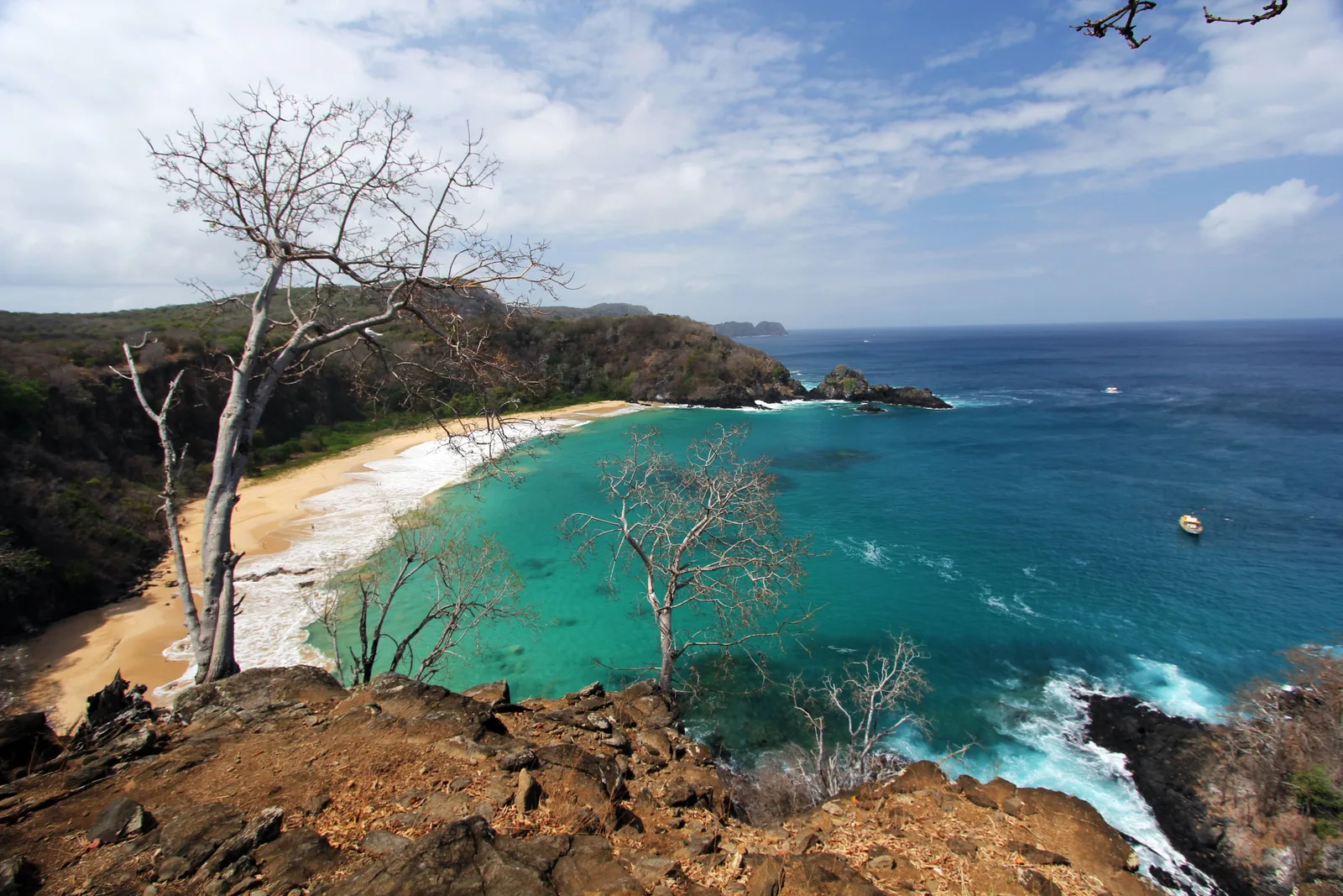 The bay at Baía do Sancho from the clifftop path, a curve of pale sand below bare trees with turquoise water running out to deeper blue