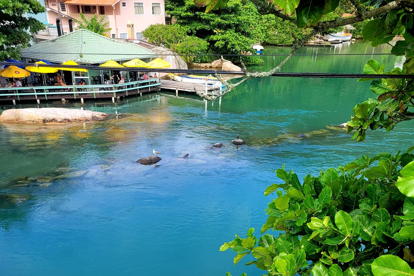 Small fishing boats moored on the turquoise channel at Barra da Lagoa beside a waterside restaurant, a footbridge crossing behind