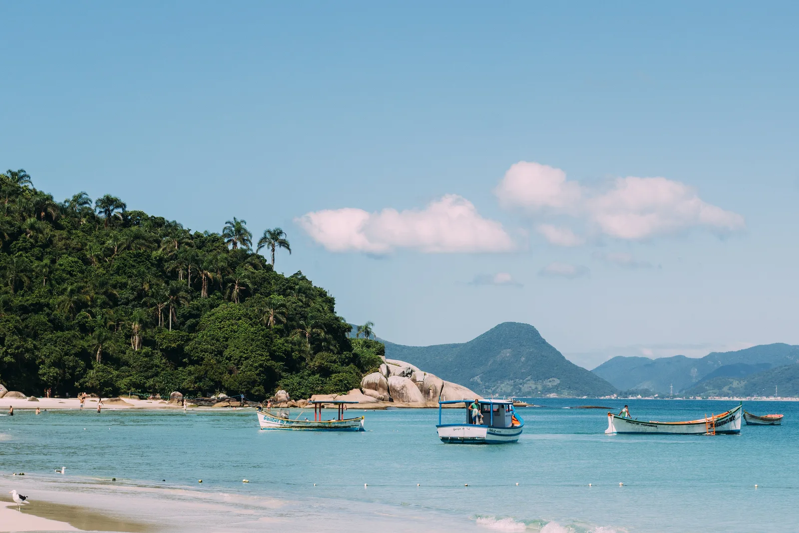 Small tour boats on the clear turquoise water off Ilha do Campeche, the forested island headland rising behind