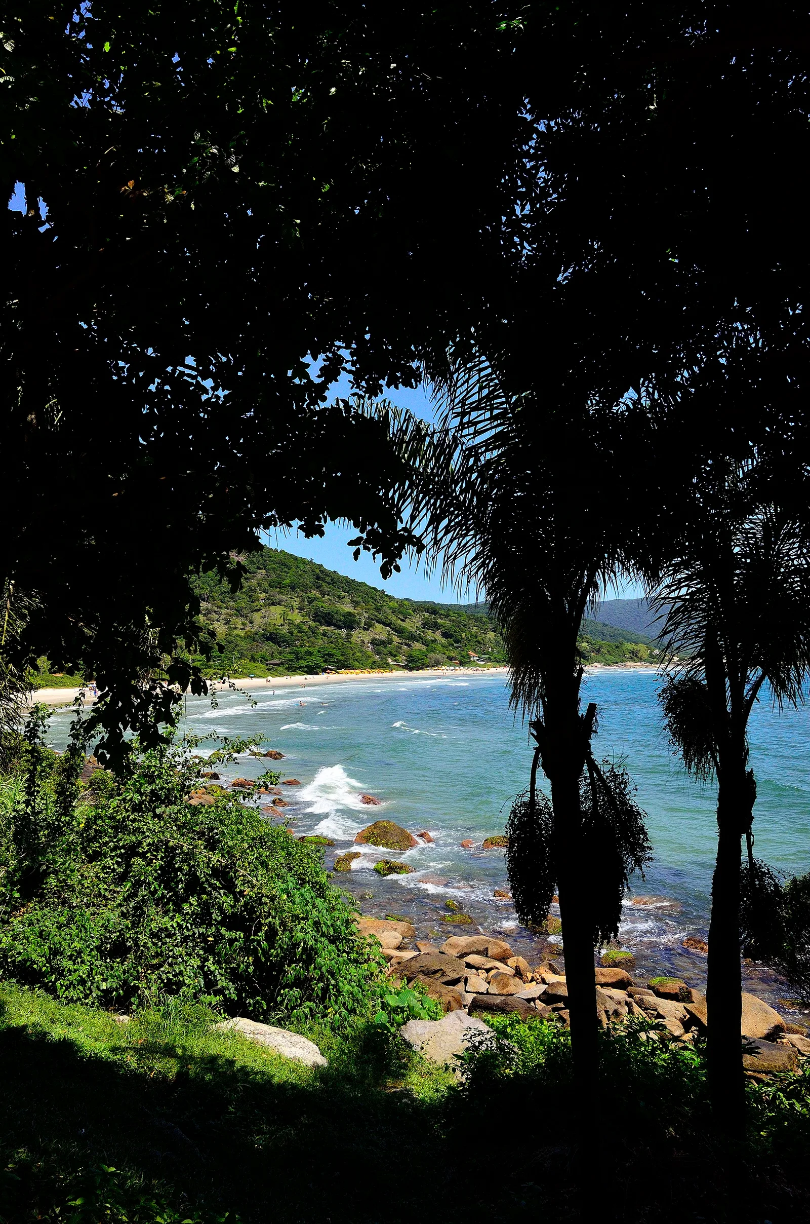 The small cove of Praia do Matadeiro framed by palms, seen from the trail on the hillside above it